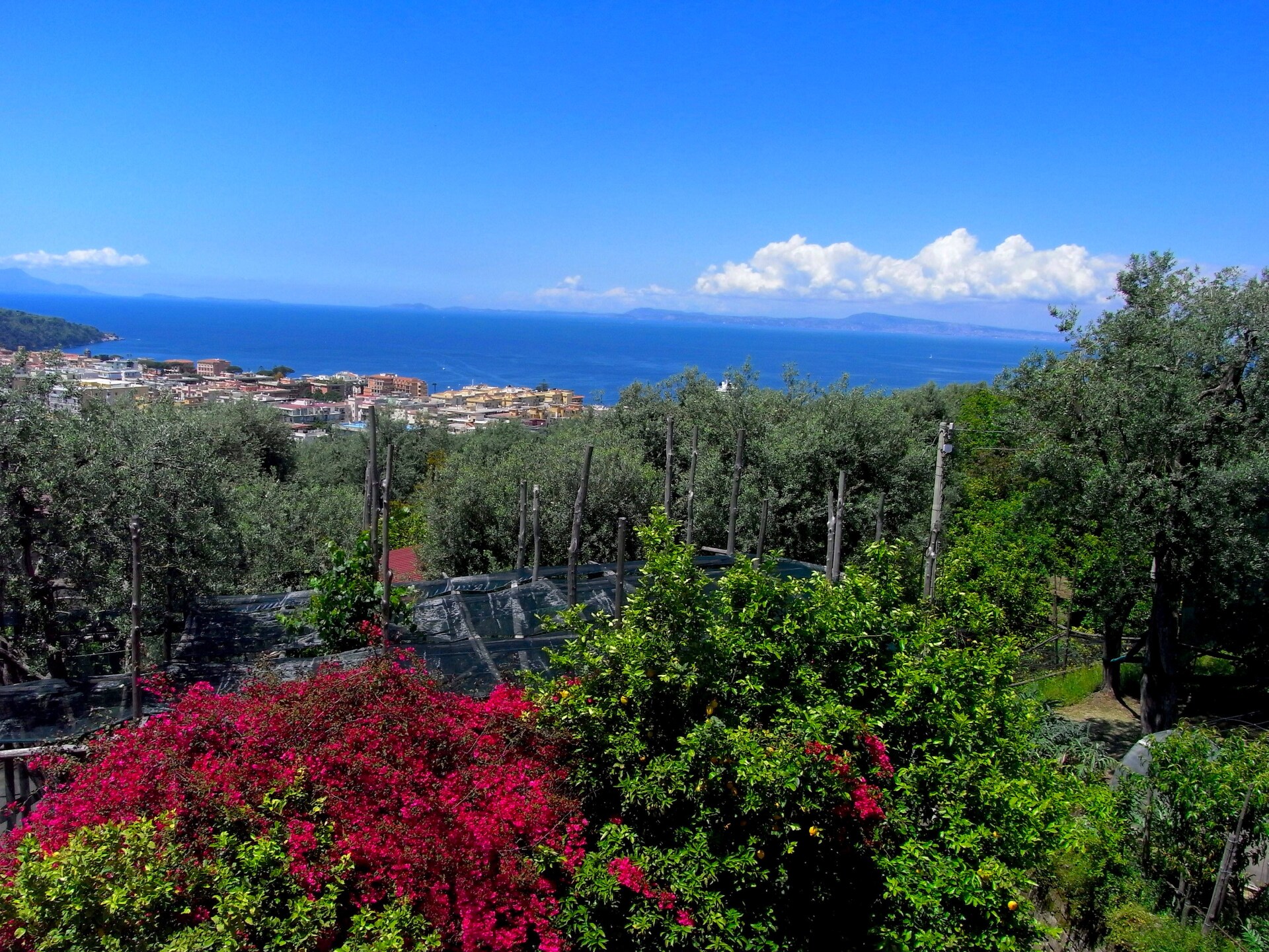 Landhuis Rosa in Sorrento: op 700 m van het centrum - foto 21