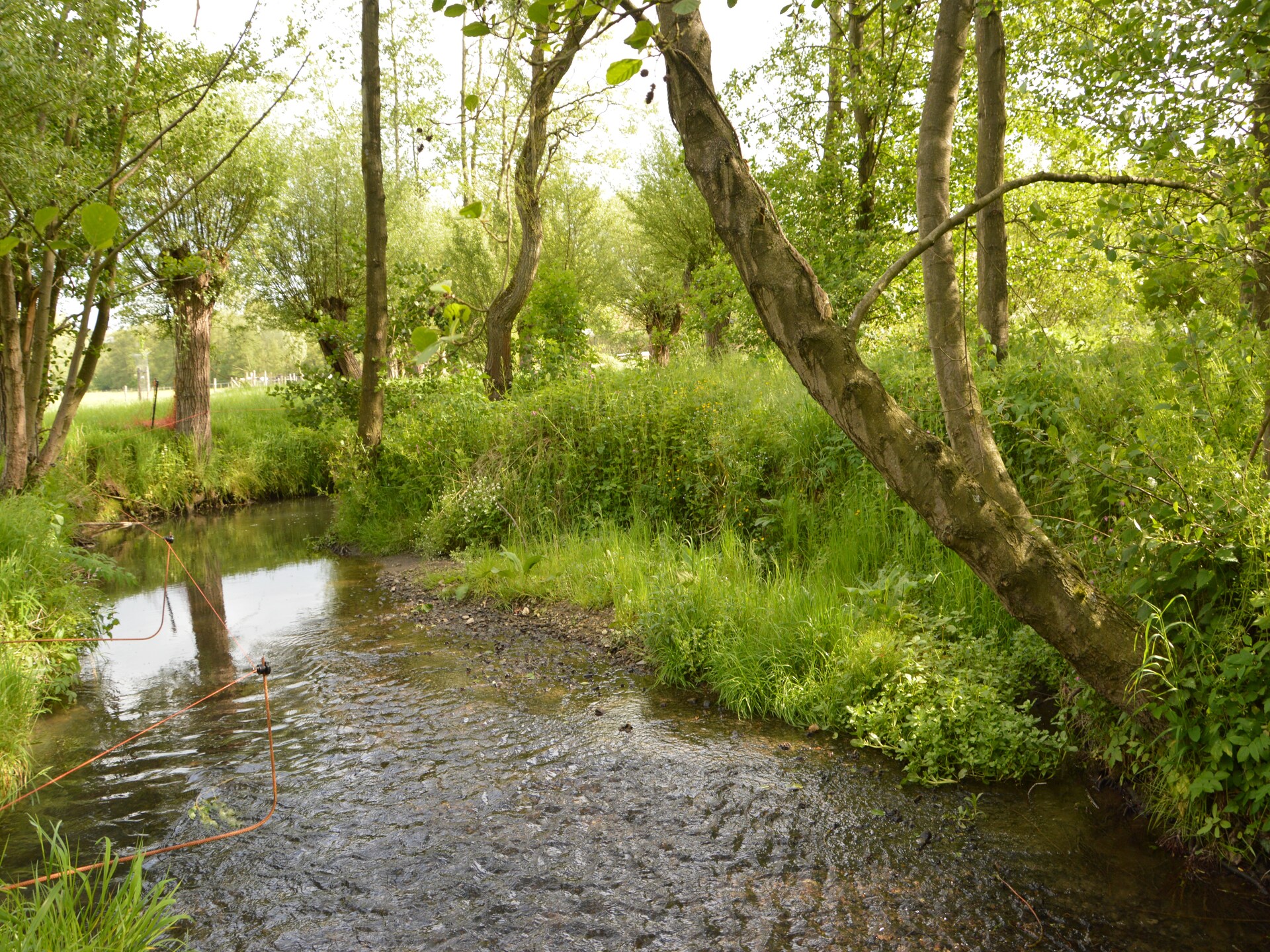 Hoeve A Gen Water: landelijk genieten in Slenaken met hond - foto 29
