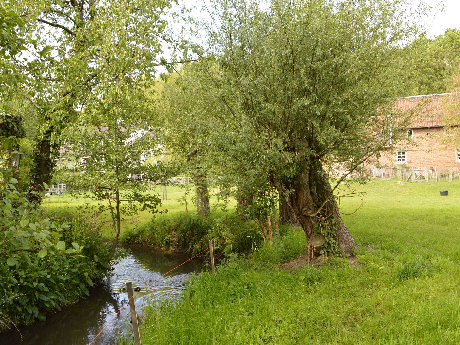 Hoeve A Gen Water: landelijk genieten in Slenaken met hond - foto 27
