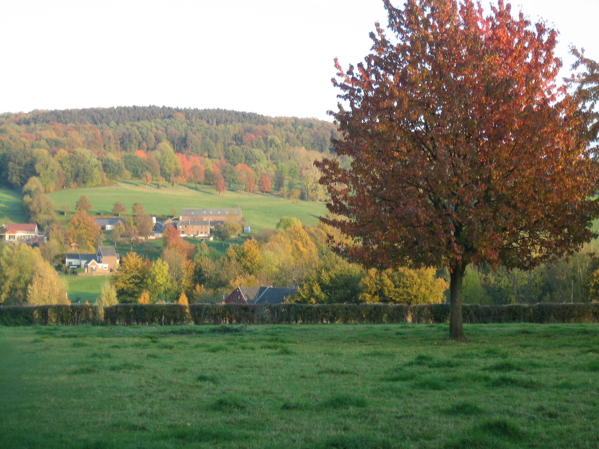 Vakantiehuis i gen Roemel: genieten van het Zuid-Limburgse heuvellandschap - foto 27