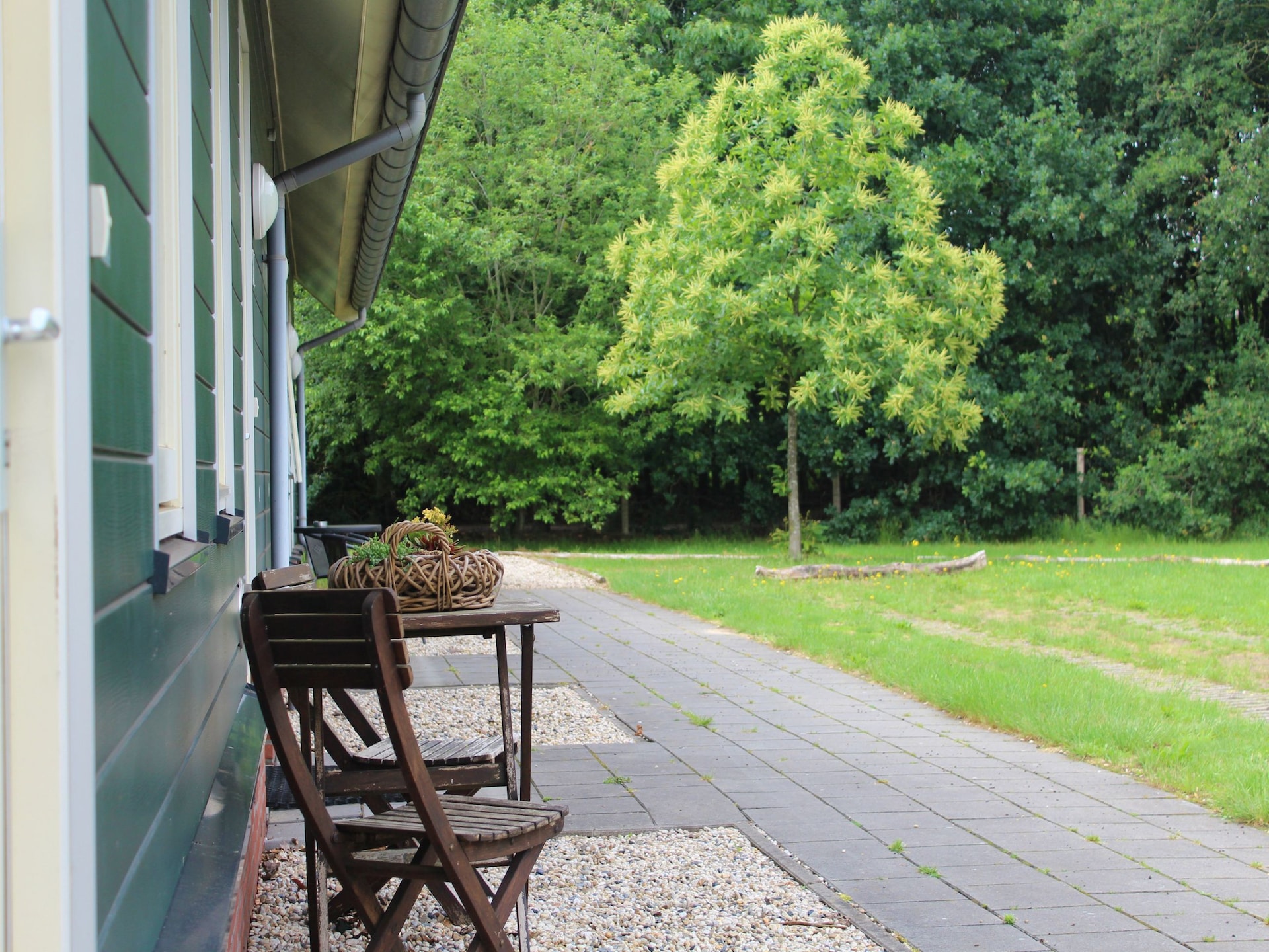 Comfortabel vakantiehuis voor 6 personen in bosrijk Overijssel, honden welkom - foto 18
