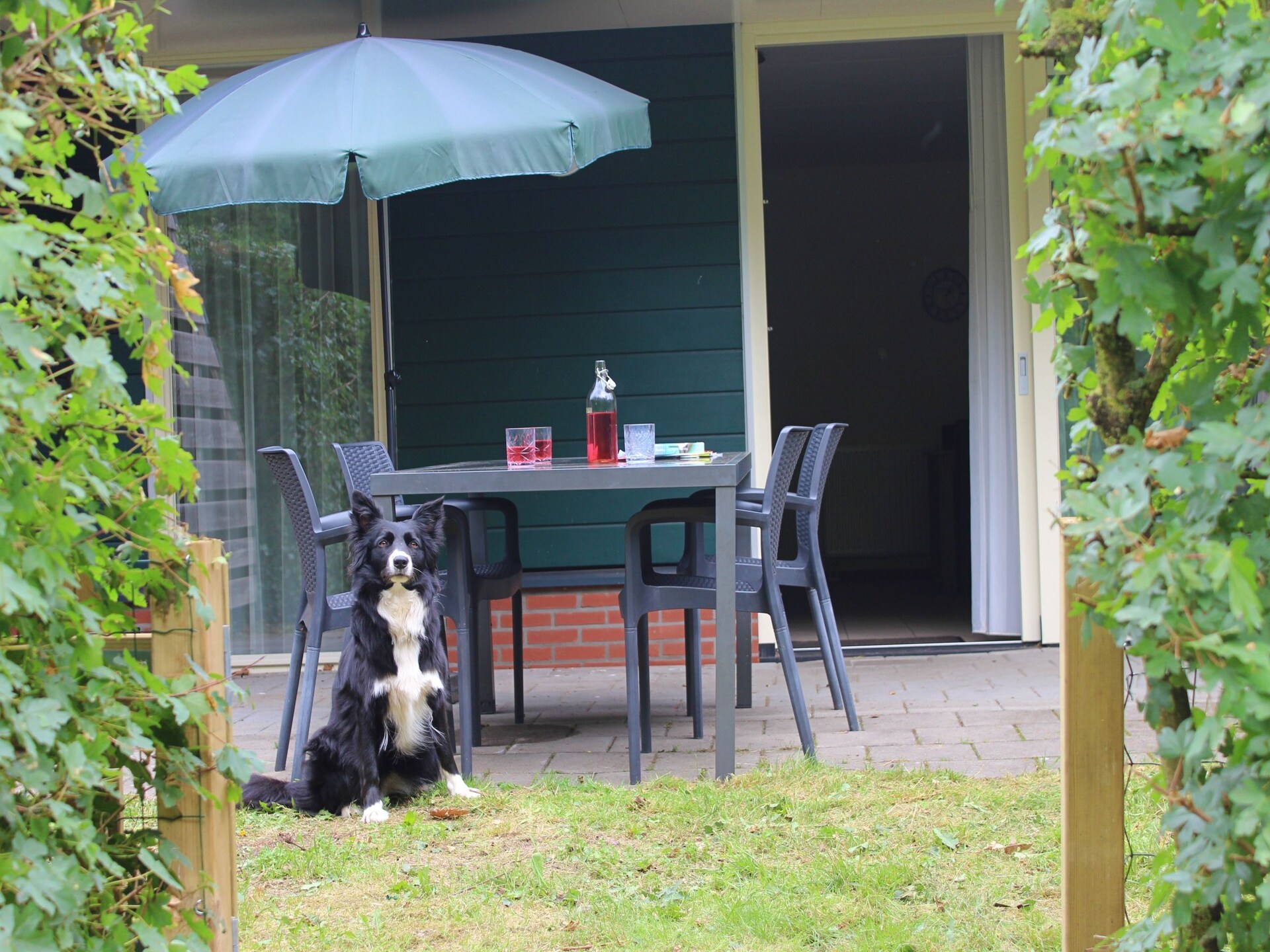 Comfortabel vakantiehuis voor 6 personen in bosrijk Overijssel, honden welkom - foto 9