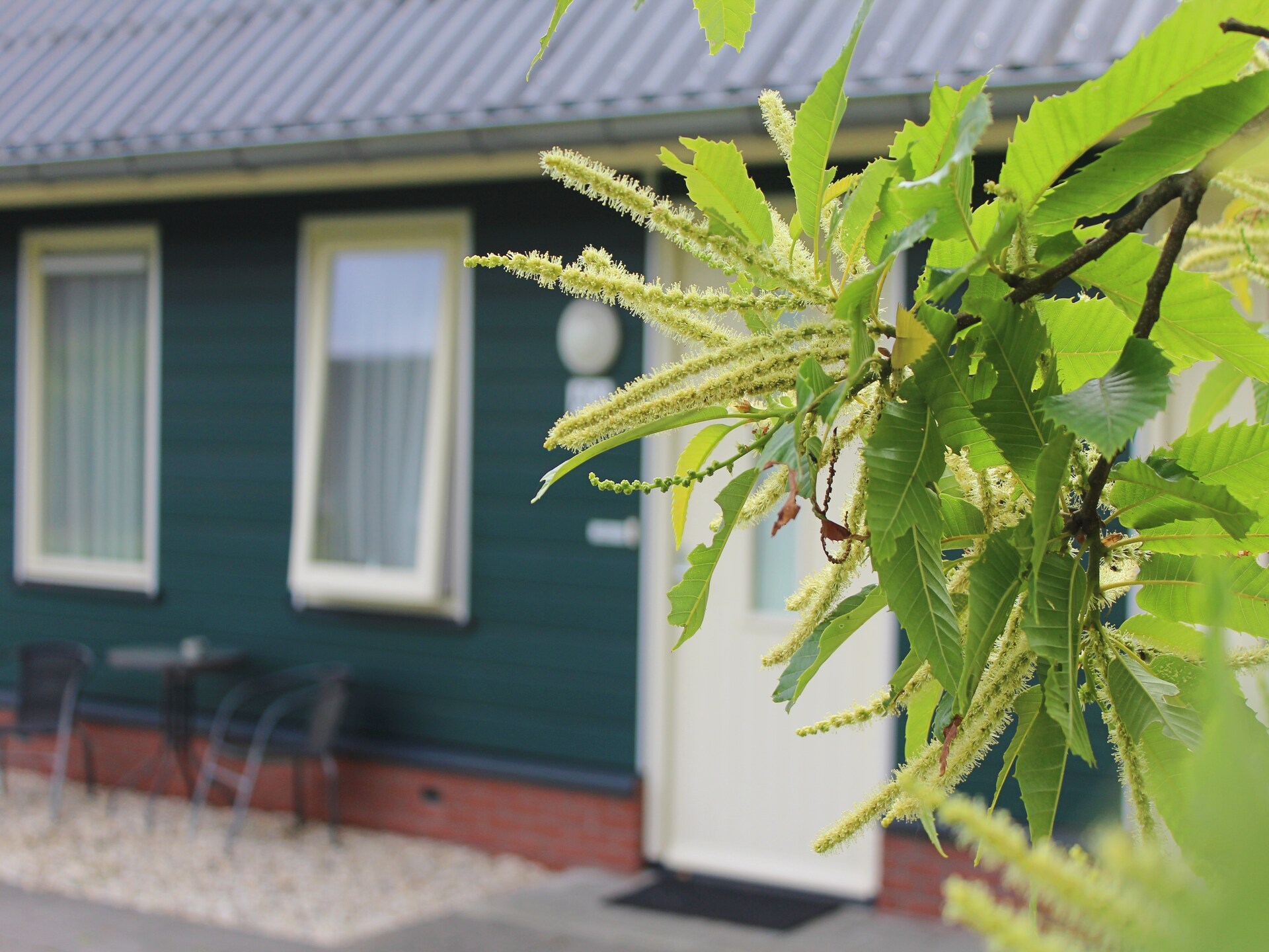 Luxe boshuis voor 6 personen in Vakantiepark Horsetellerie 4, Hardenberg - foto 12