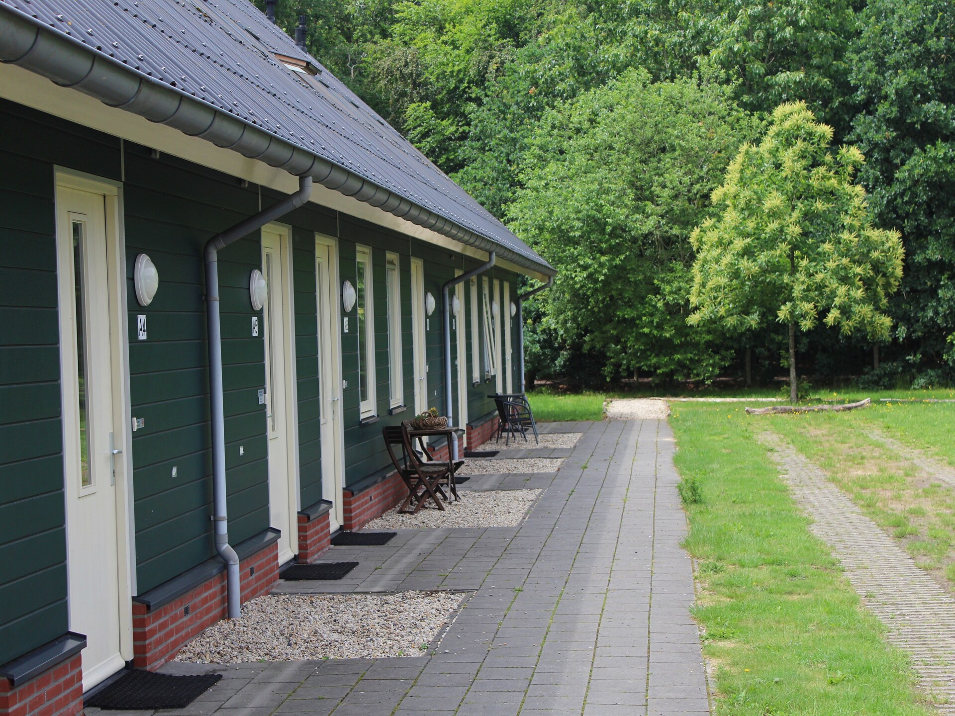 Luxe boshuis voor 6 personen in Vakantiepark Horsetellerie 4, Hardenberg - foto 6
