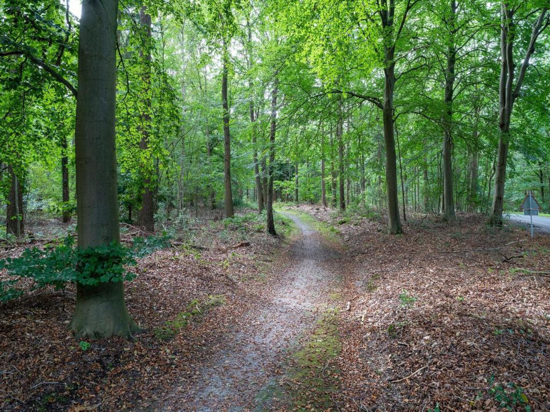 Luxe boshuis voor 6 personen in Vakantiepark Horsetellerie 4, Hardenberg - foto 28