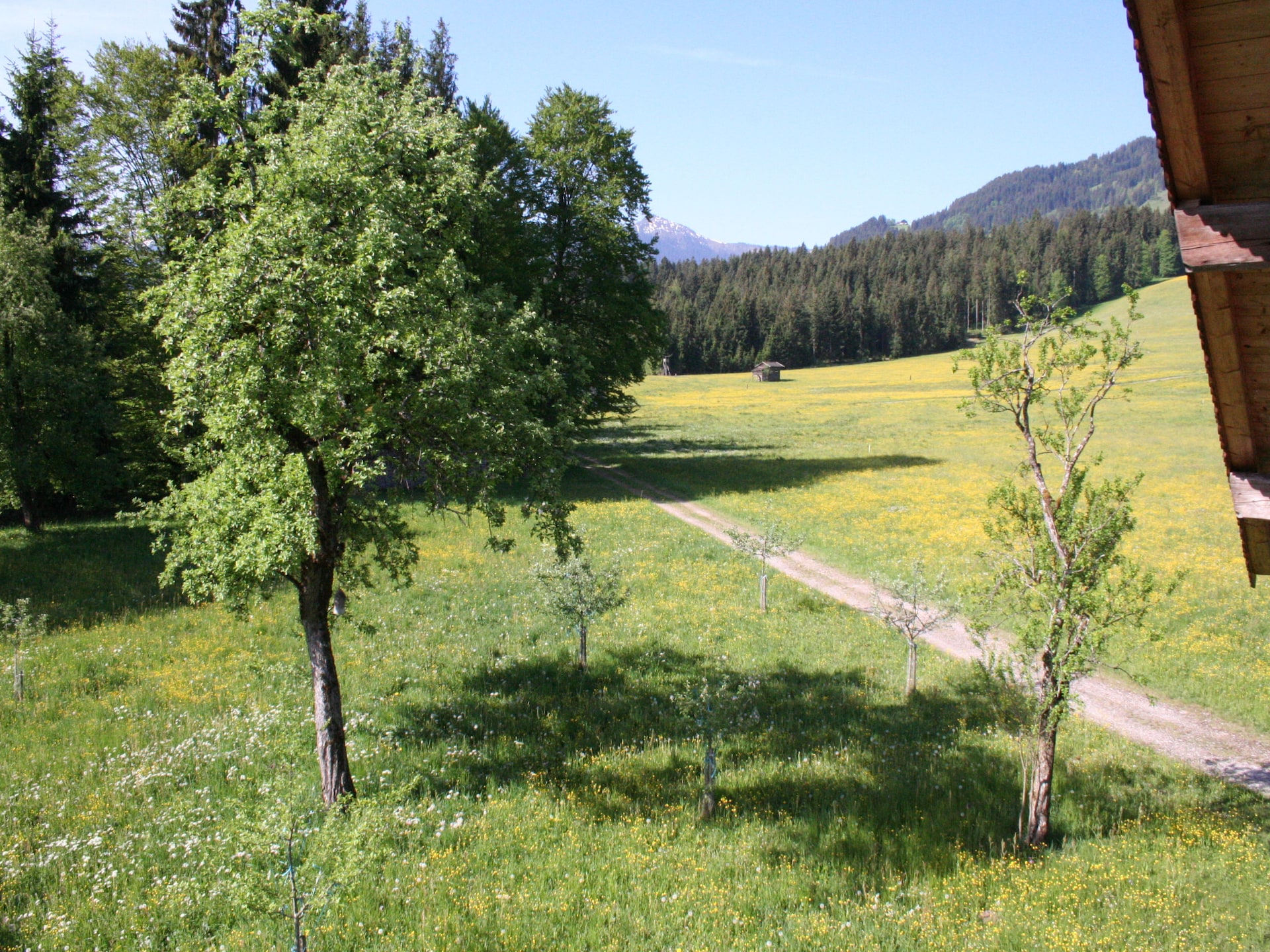 Authentieke boerderij Haus Harpfen in Hopfgarten im Brixental - foto 4
