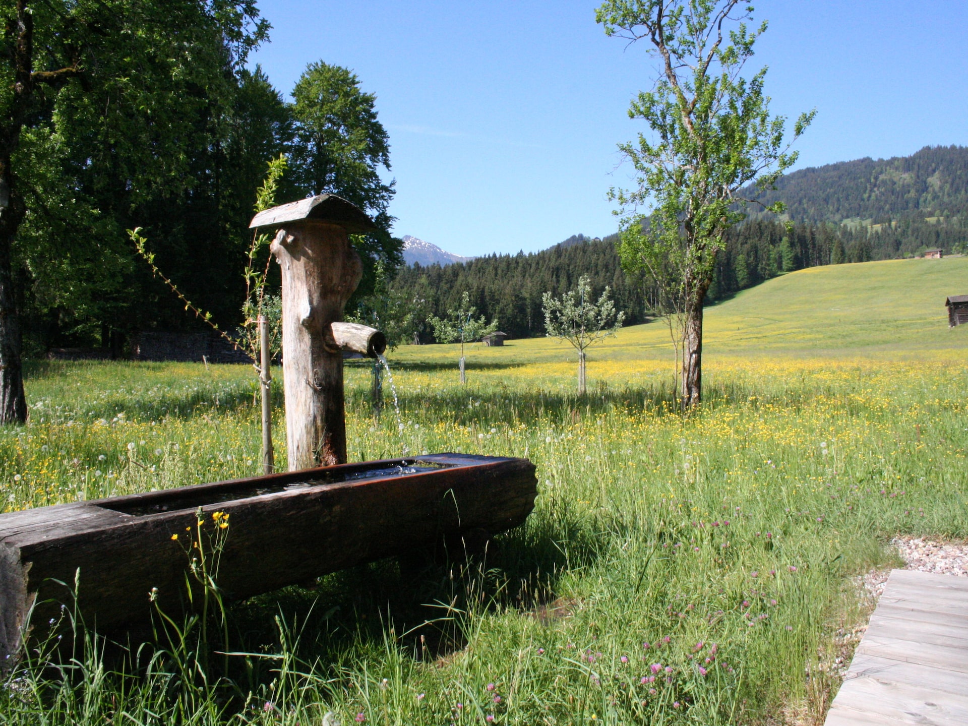 Authentieke boerderij Haus Harpfen in Hopfgarten im Brixental - foto 28