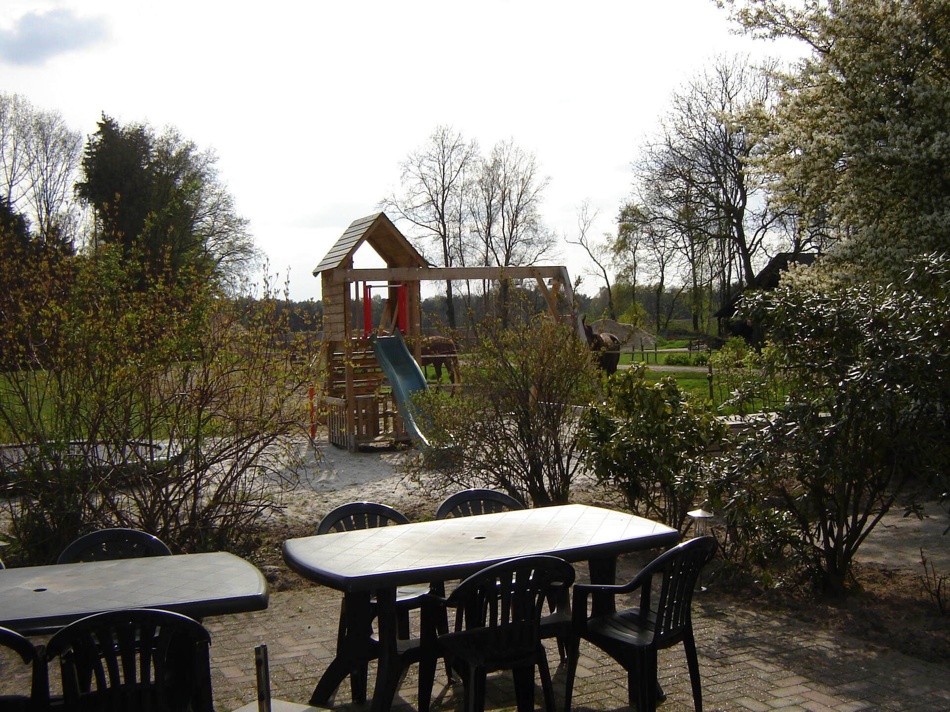 Luxe vakantiehuis met sauna en hot tub in de Kempense bossen - foto 6