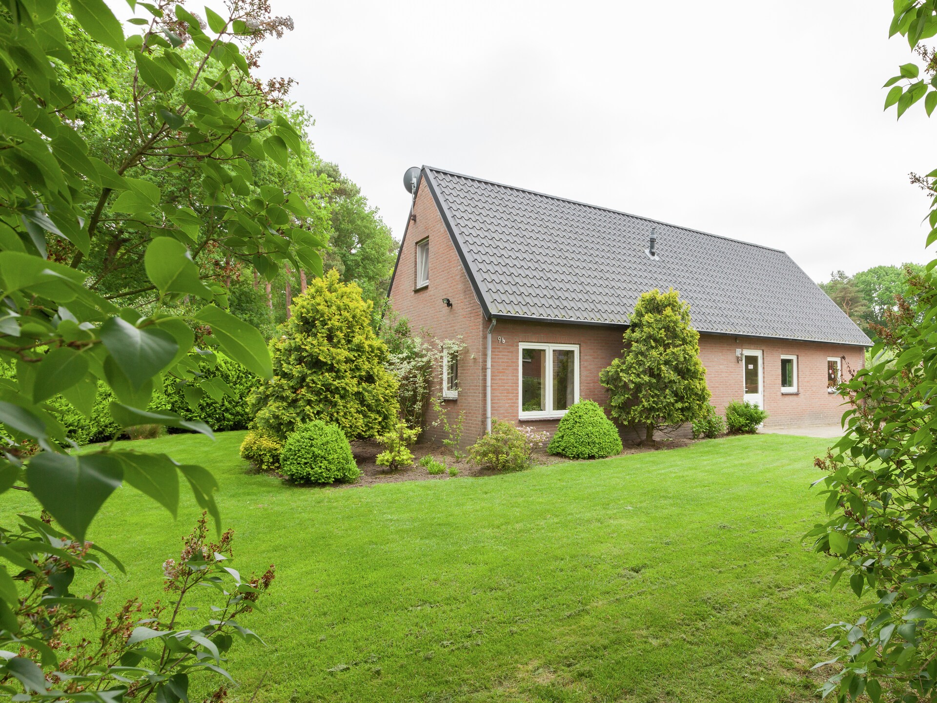 Luxe vakantiehuis met sauna en hot tub in de Kempense bossen - foto 17