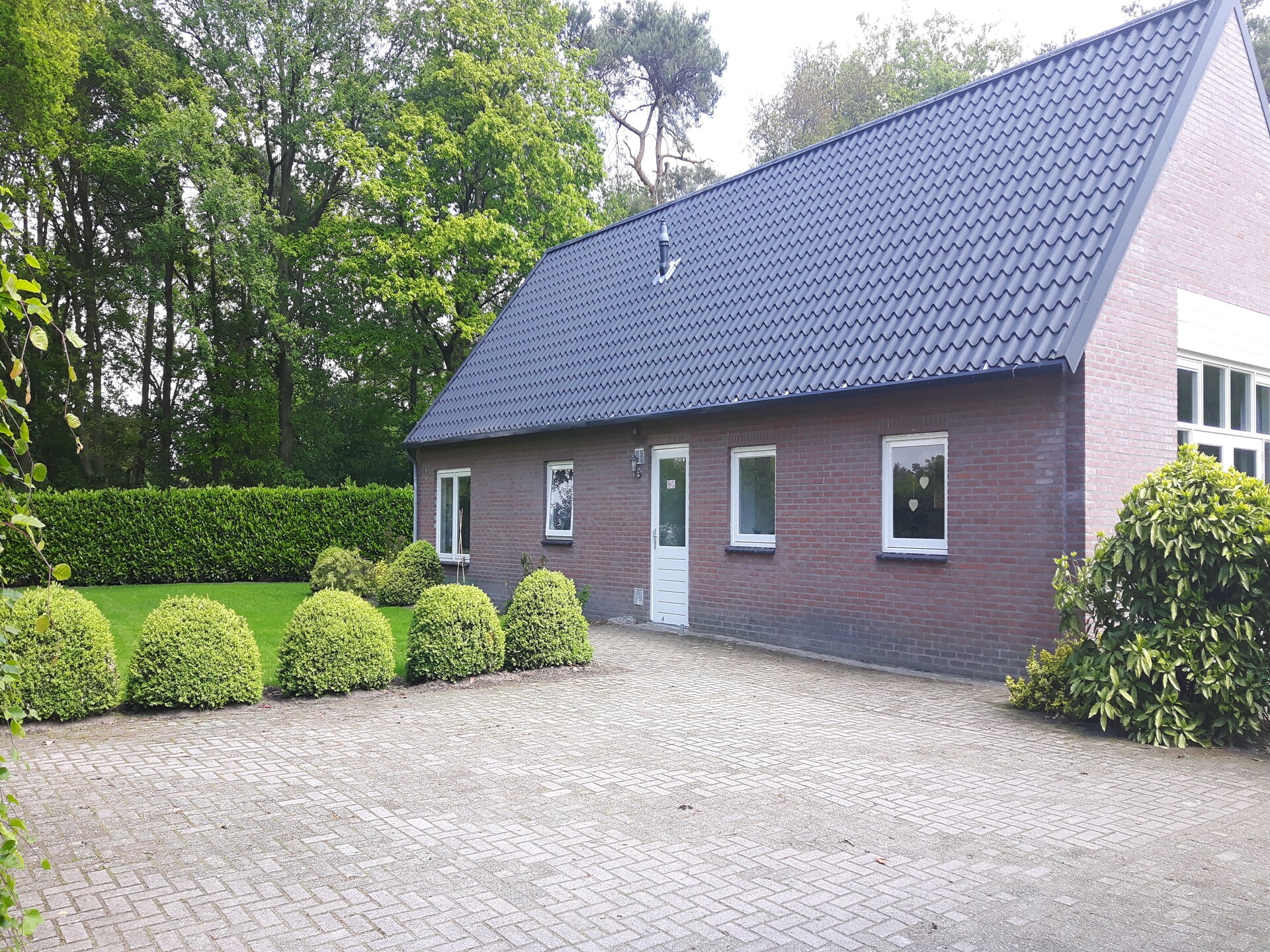 Luxe vakantiehuis met sauna en hot tub in de Kempense bossen - foto 7