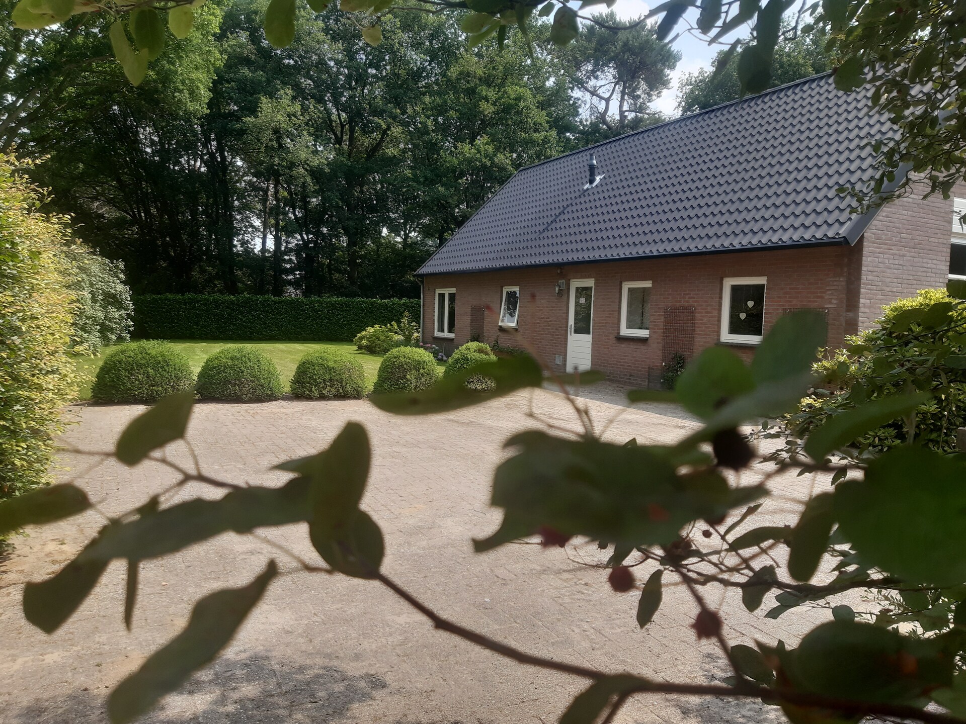 Luxe vakantiehuis met sauna en hot tub in de Kempense bossen - foto 25