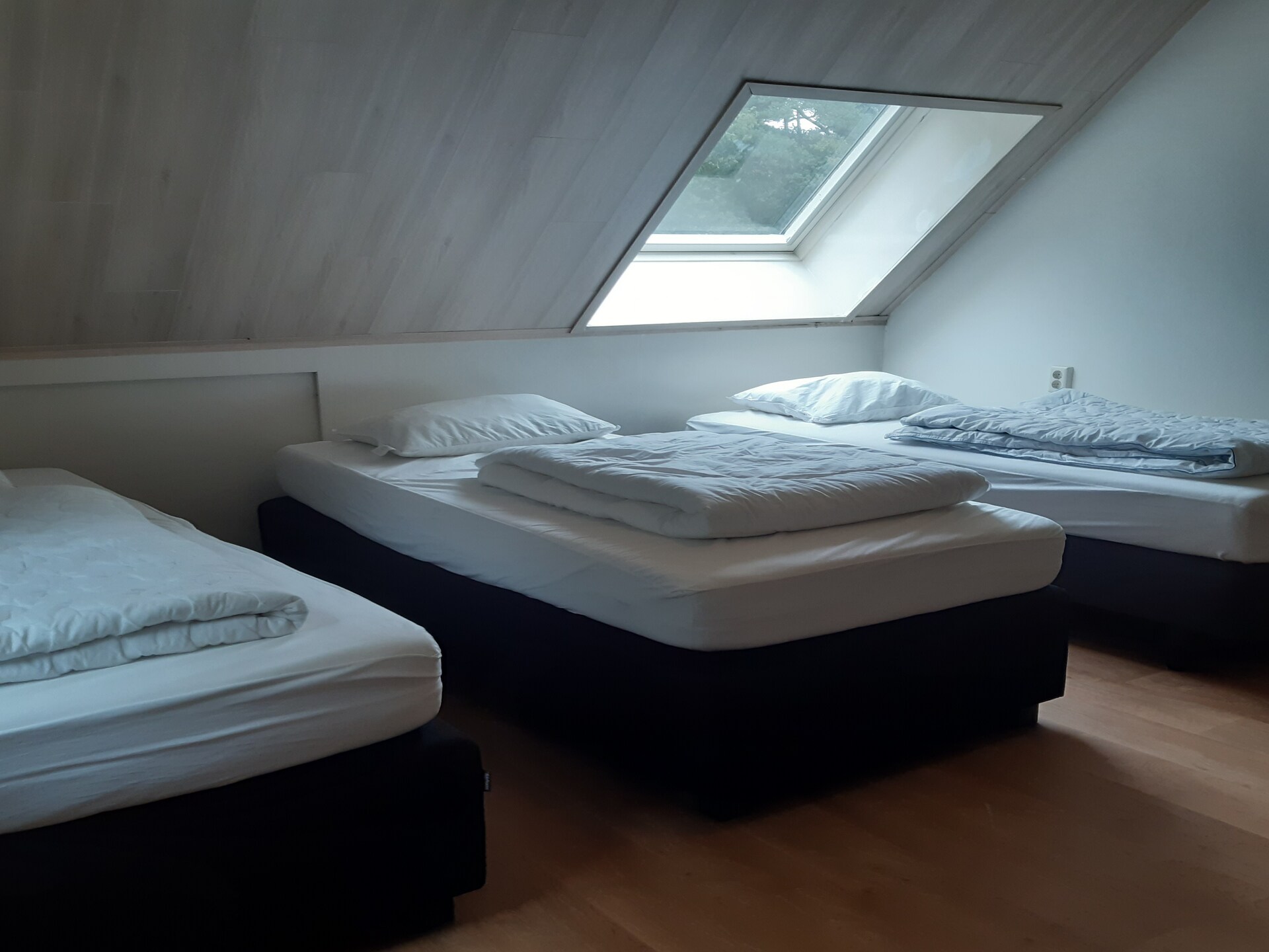 Luxe vakantiehuis met sauna en hot tub in de Kempense bossen - foto 36
