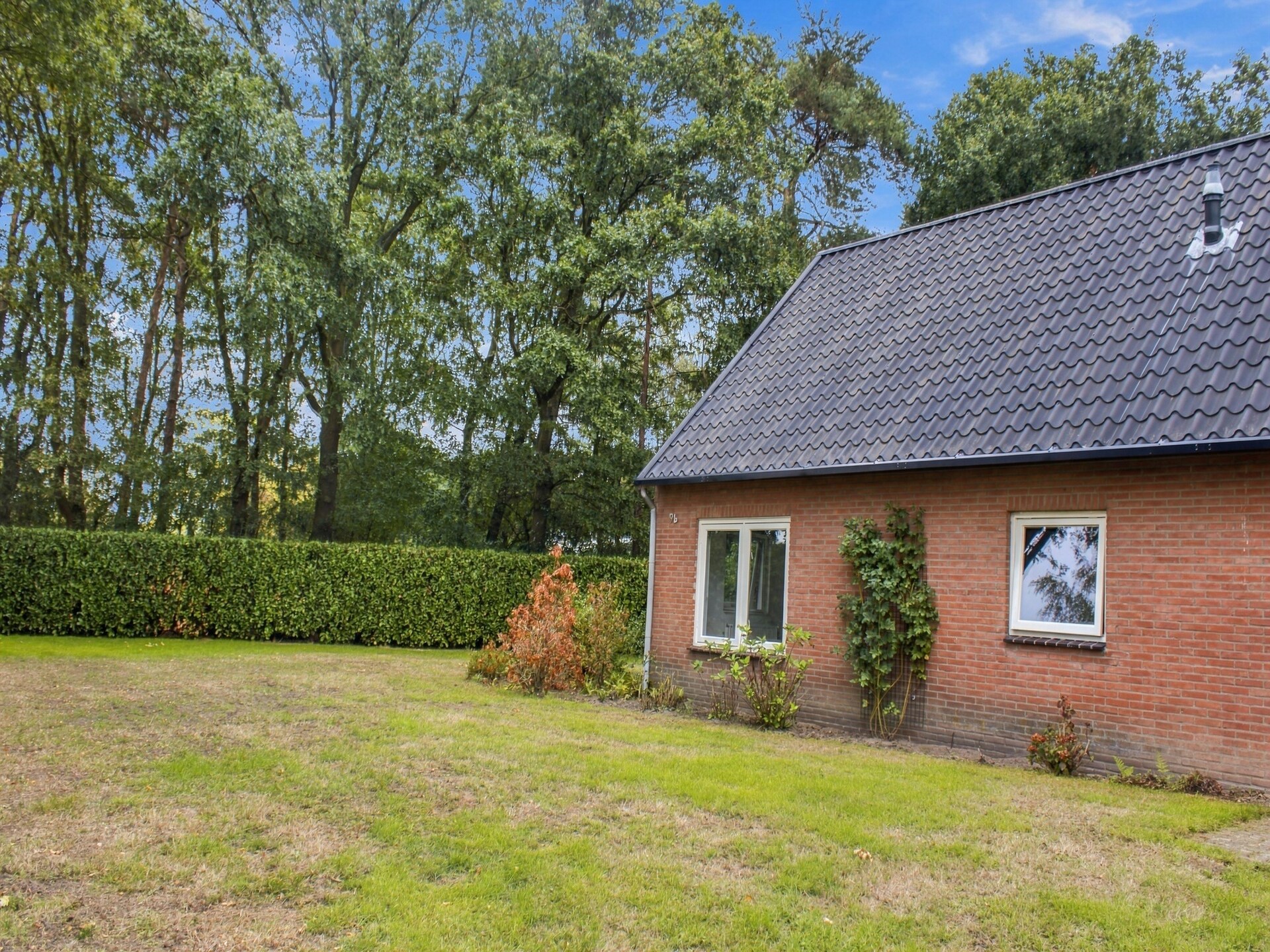 10-persoons vakantiehuis in Vessem met wellness en natuuruitzicht - foto 36