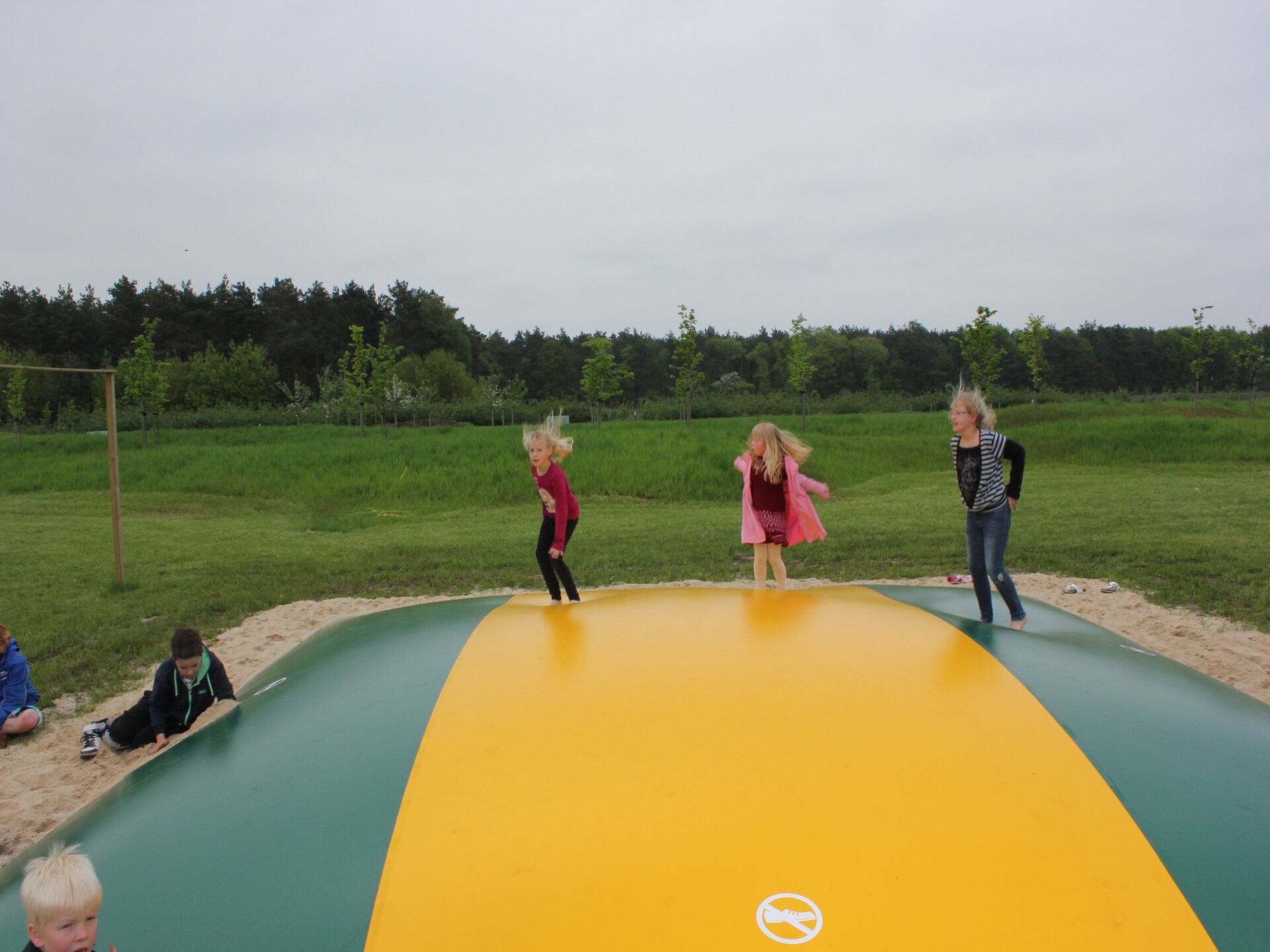 Ruime boshut Horsetellerie 7 voor 8 personen in Hardenberg - foto 14