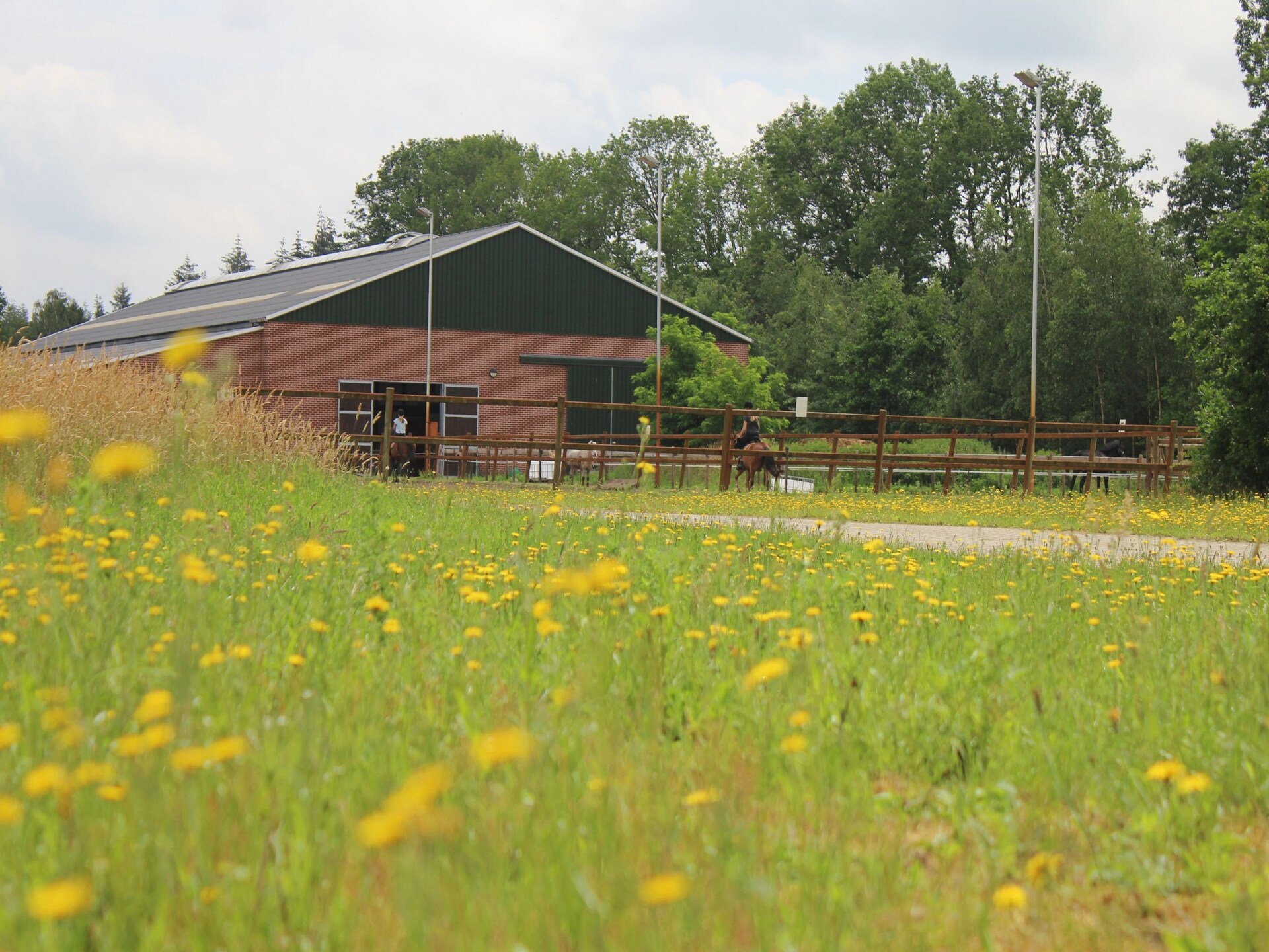 Ruime boshut Horsetellerie 7 voor 8 personen in Hardenberg - foto 22