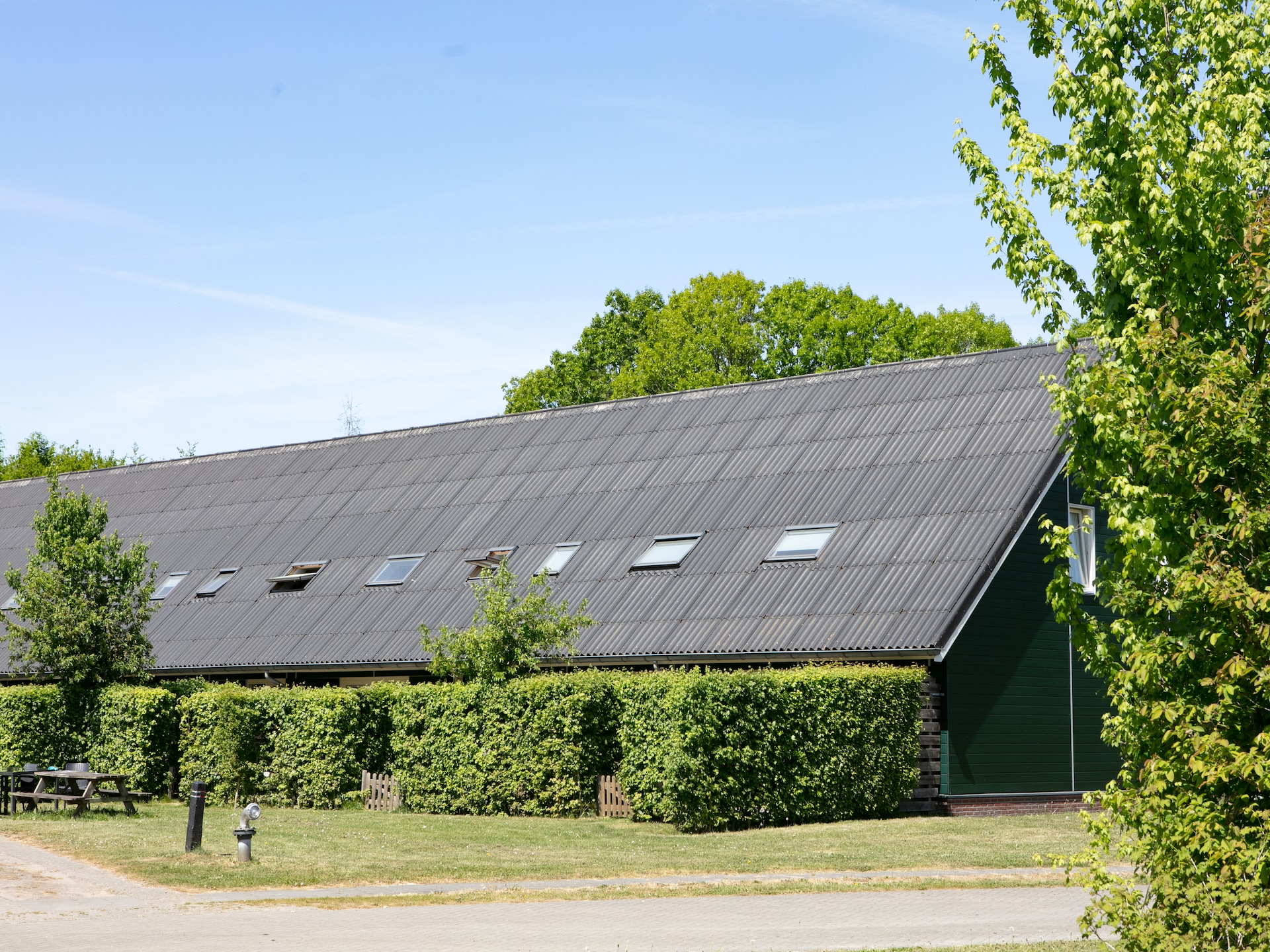 Ruime boshut Horsetellerie 7 voor 8 personen in Hardenberg - foto 15