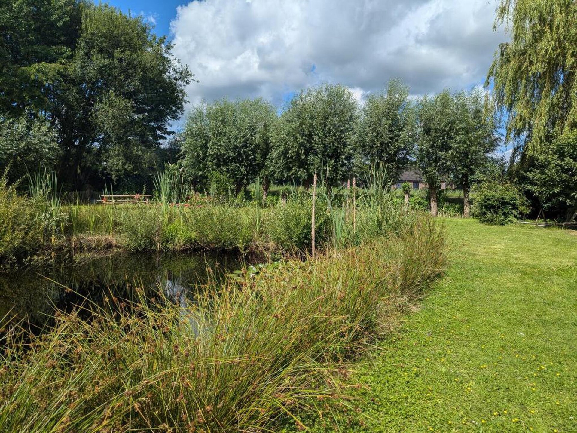 Ruime boshut Horsetellerie 7 voor 8 personen in Hardenberg - foto 24