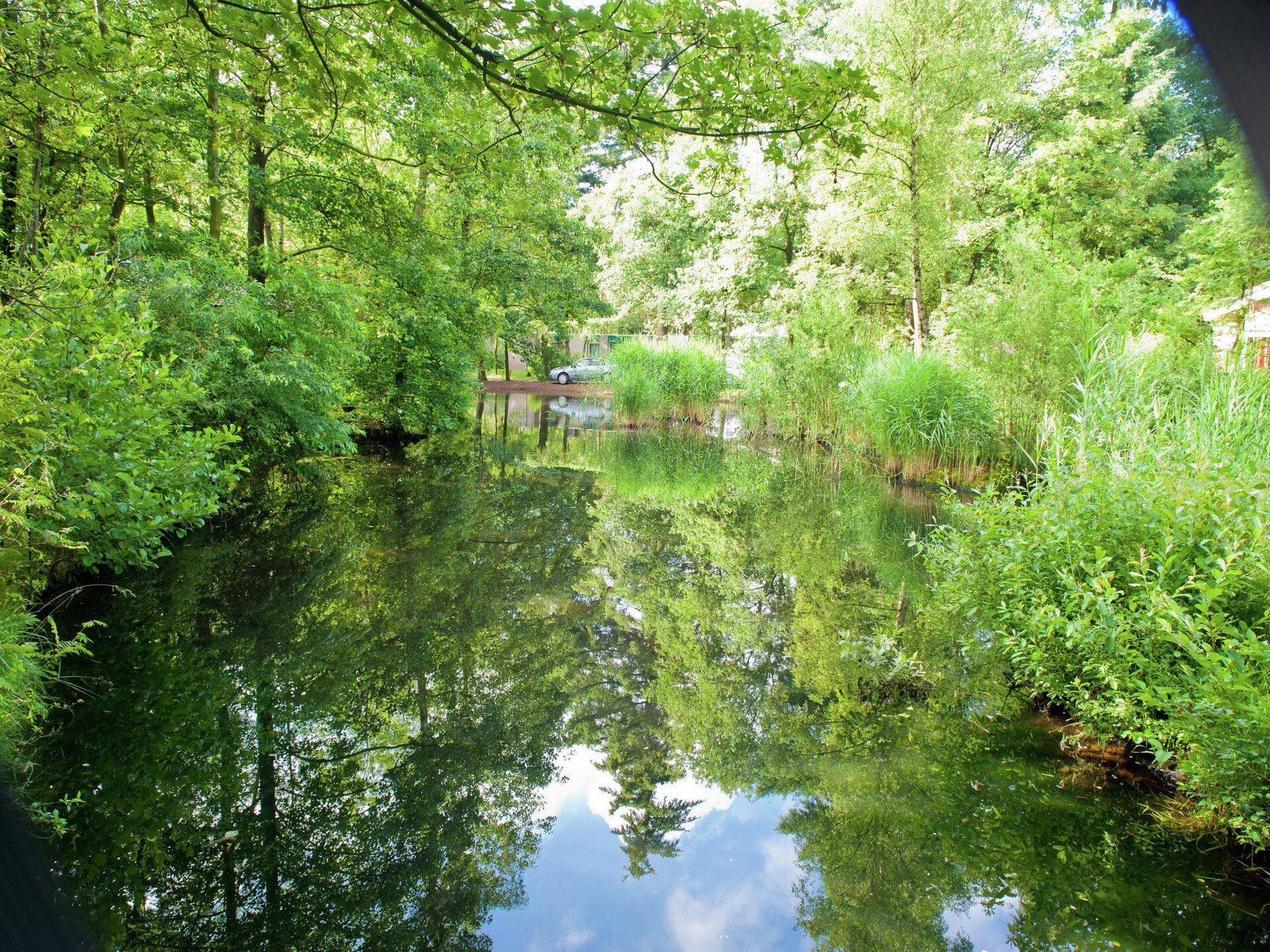 Charmante boshut met huisdieren op de Veluwe in Kootwijk - foto 10