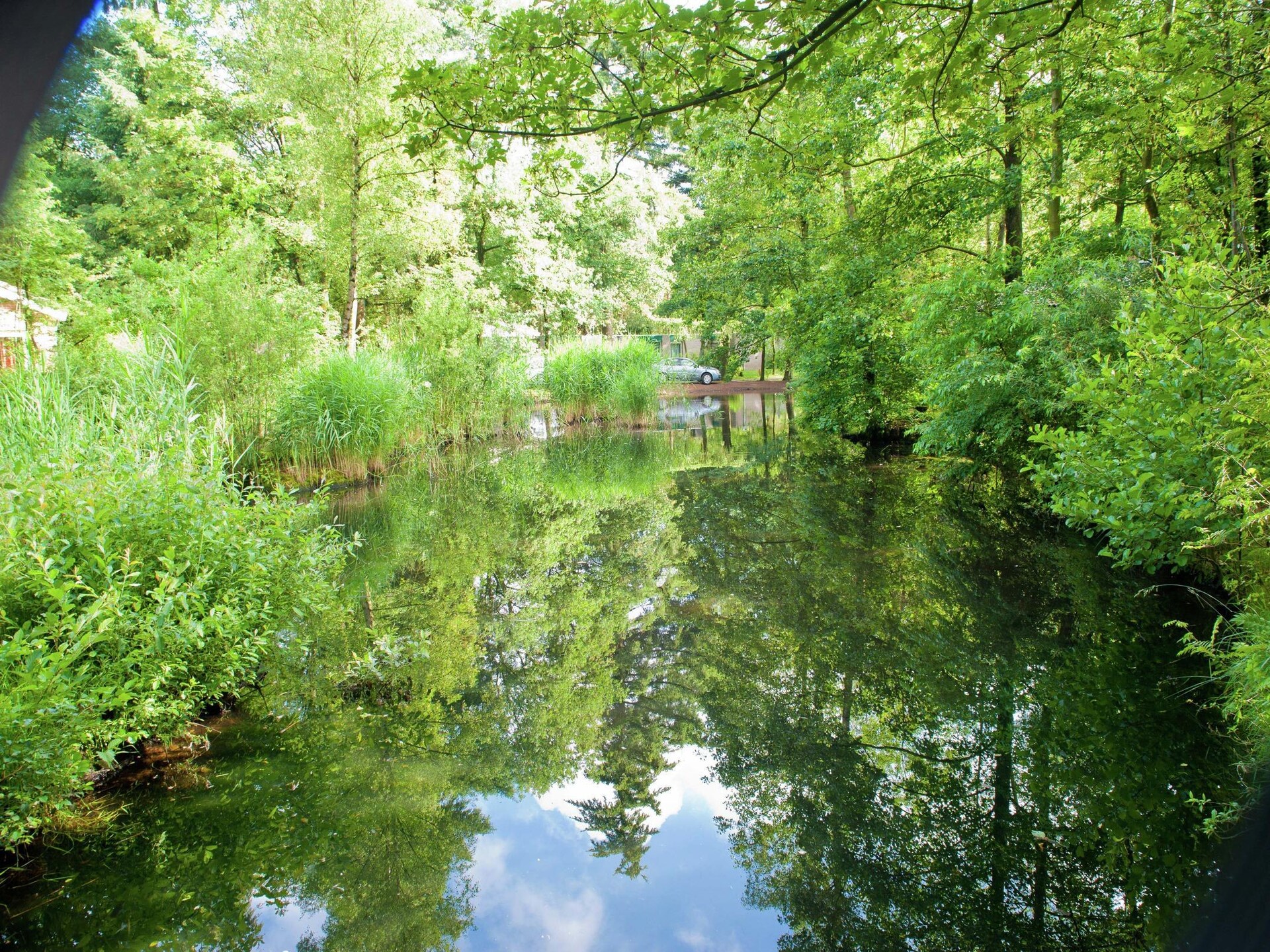 Charmante boshut met huisdieren op de Veluwe in Kootwijk - foto 14
