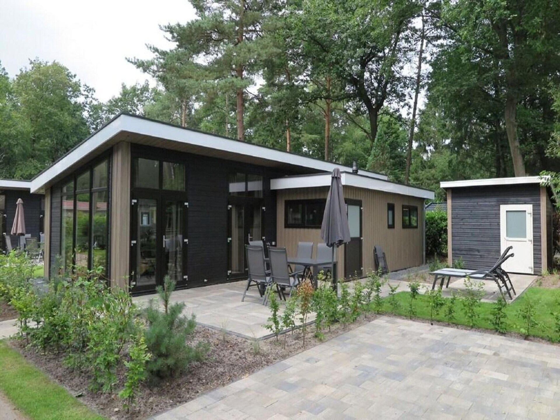 Charmante boshut met huisdieren op de Veluwe in Kootwijk - foto 15