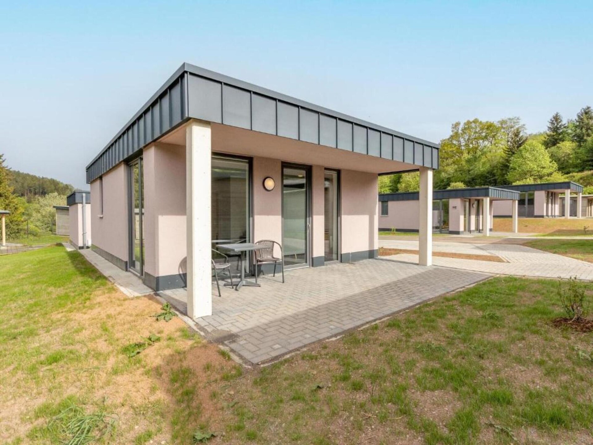Charmante boshut met huisdieren op de Veluwe in Kootwijk - foto 22