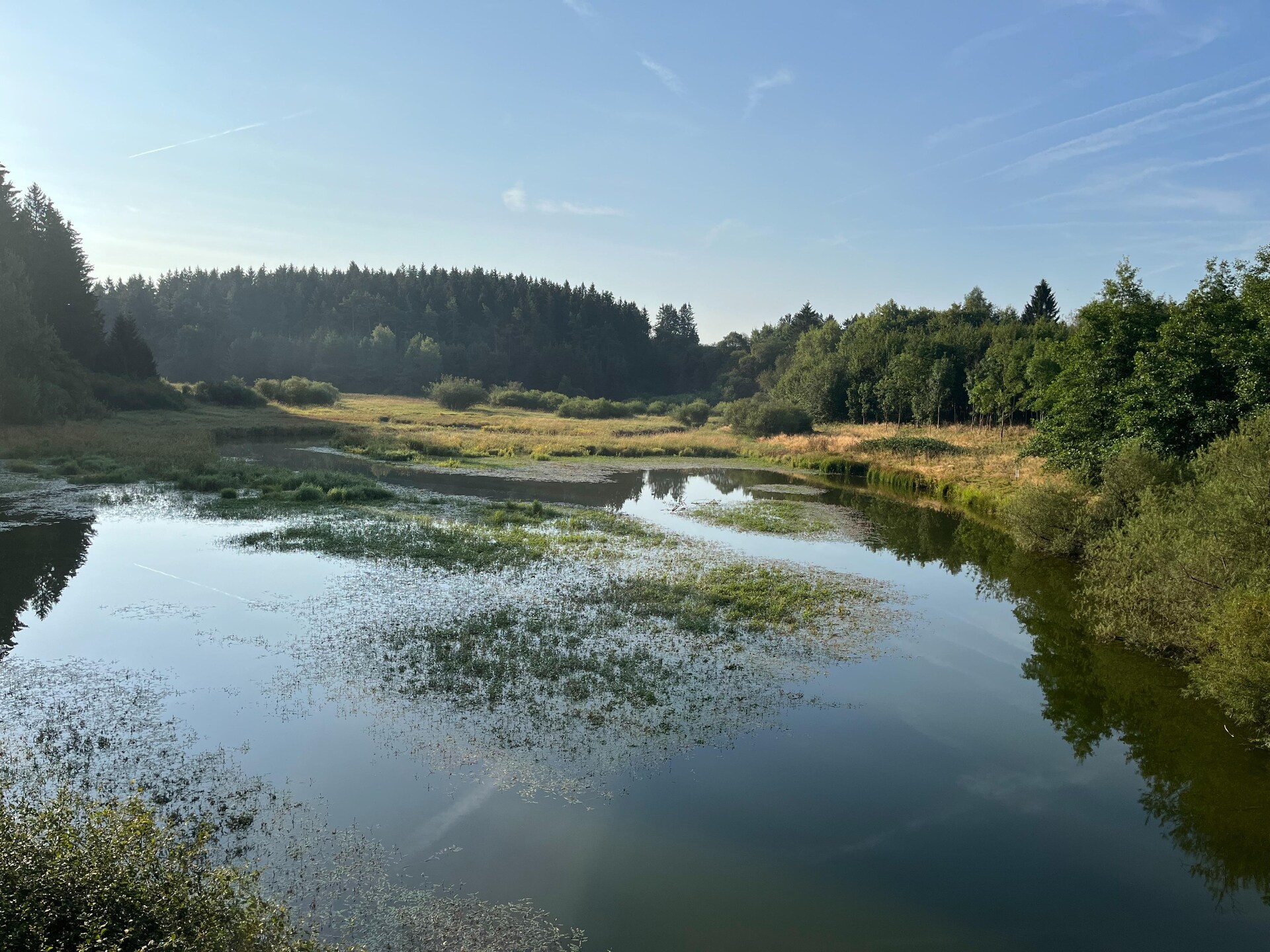 Vrijstaand chalet met sauna, tuin & BBQ op 100m van het meer in Büllingen - foto 30