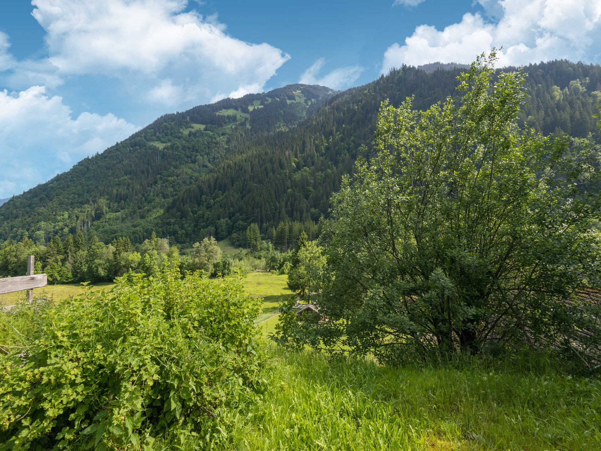 Ruim landhuis voor 18 personen aan de bosrand bij St. Gallenkirch - foto 35