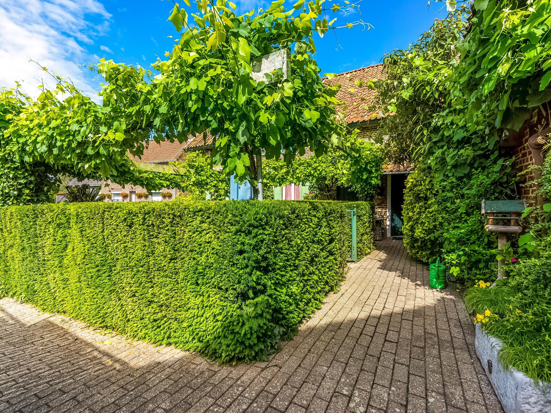 6-persoons landhuis met authentieke bedstee in Uikhoven - foto 8
