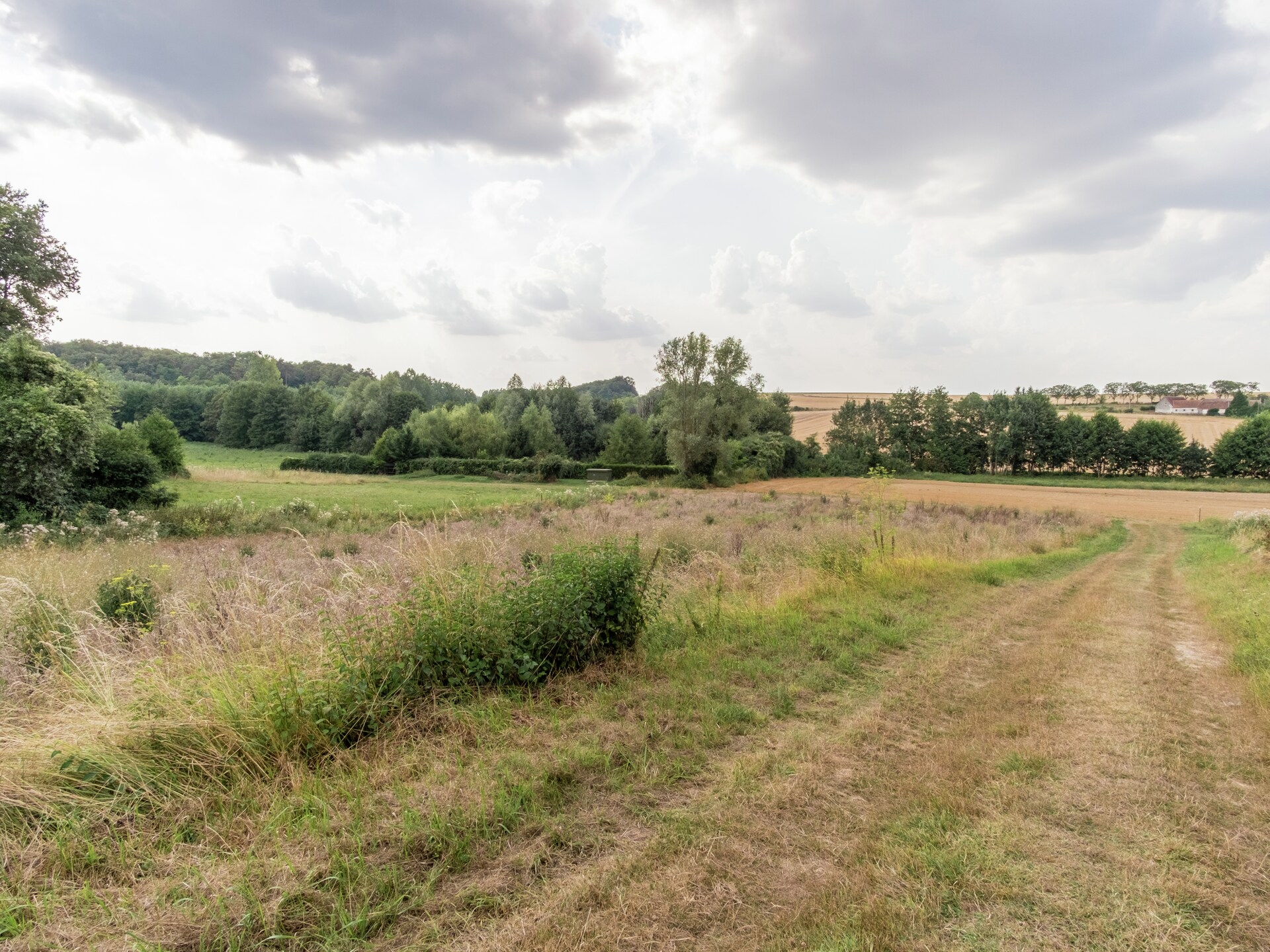 Historische grotwoning in het bos bij Faverolles, nabij de Loirekastelen - foto 26