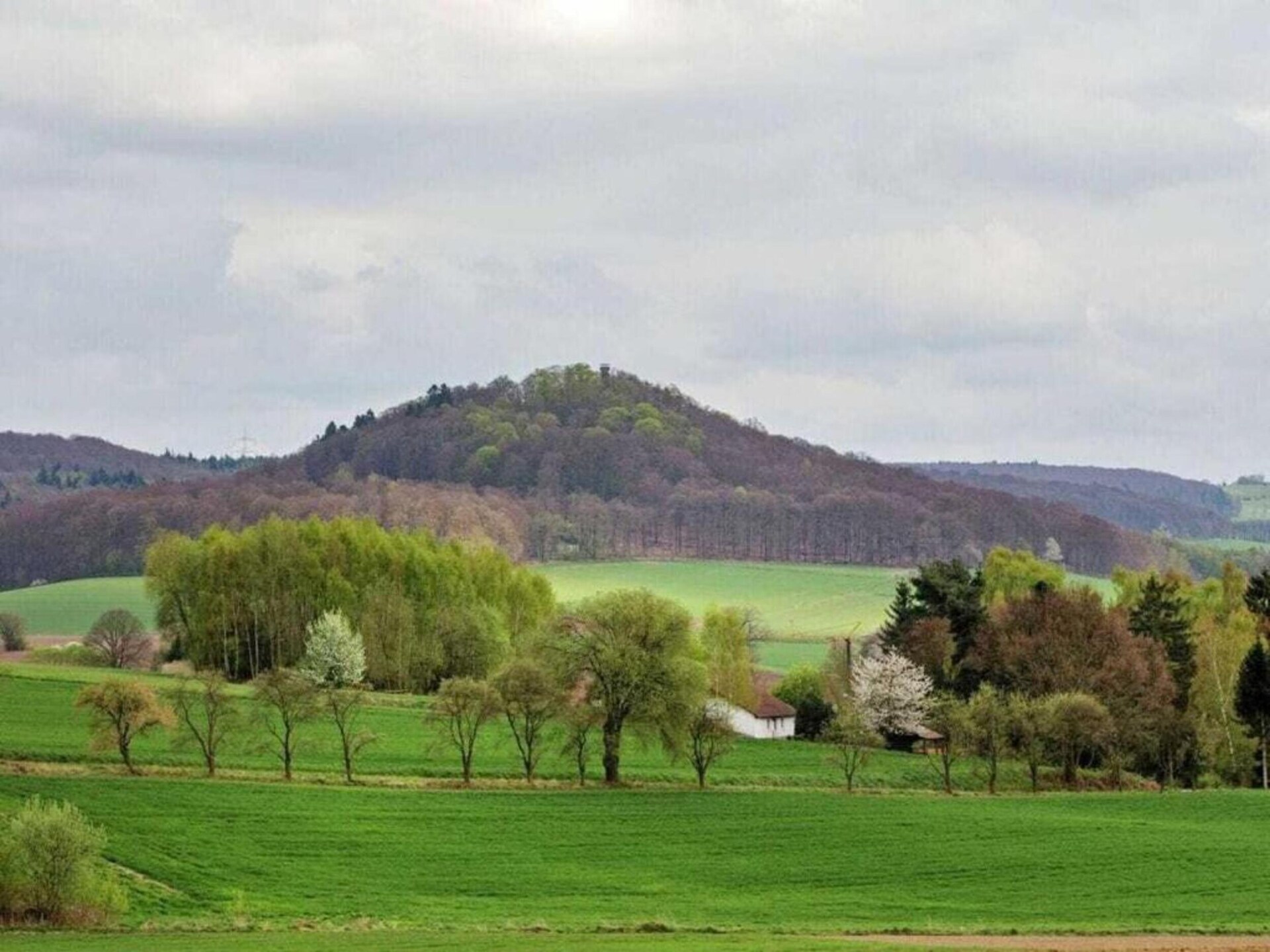Ruim vakantiehuis voor 8 in de bossen bij Homberg met 4 badkamers - foto 27