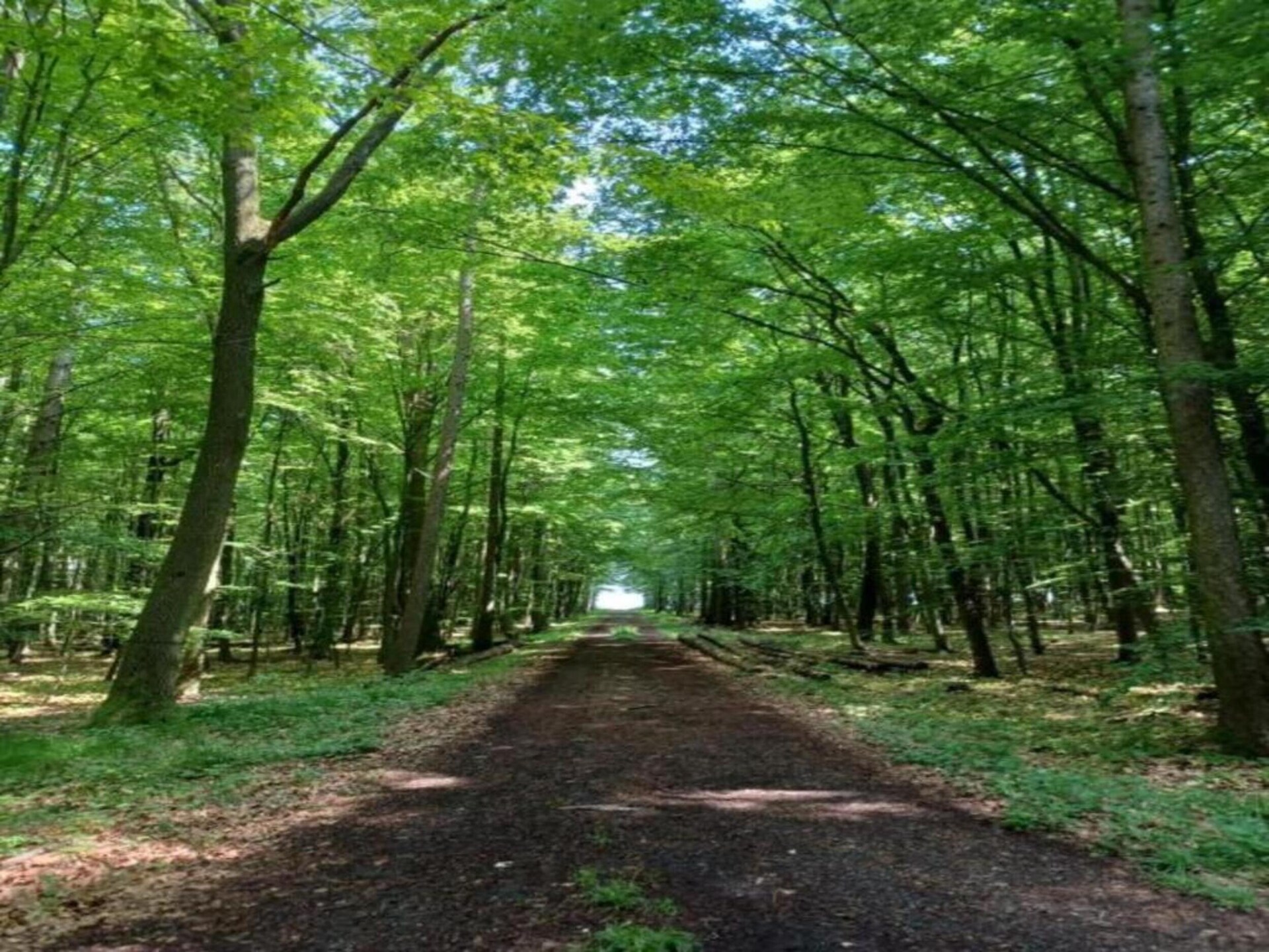 Ruim vakantiehuis voor 8 in de bossen bij Homberg met 4 badkamers - foto 22