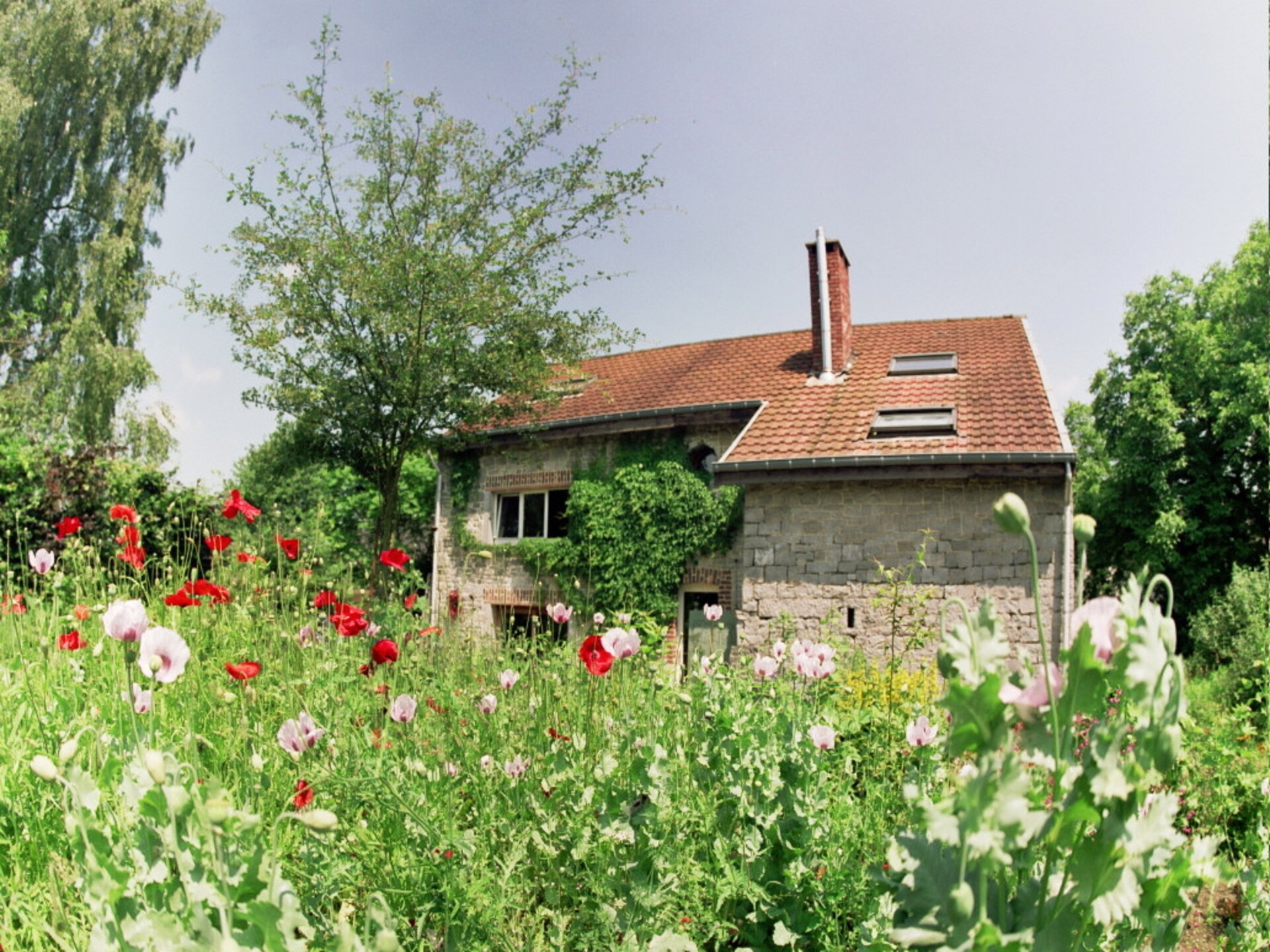 Ecologisch vakantiehuis voor 2 personen in Durbuy - foto 2