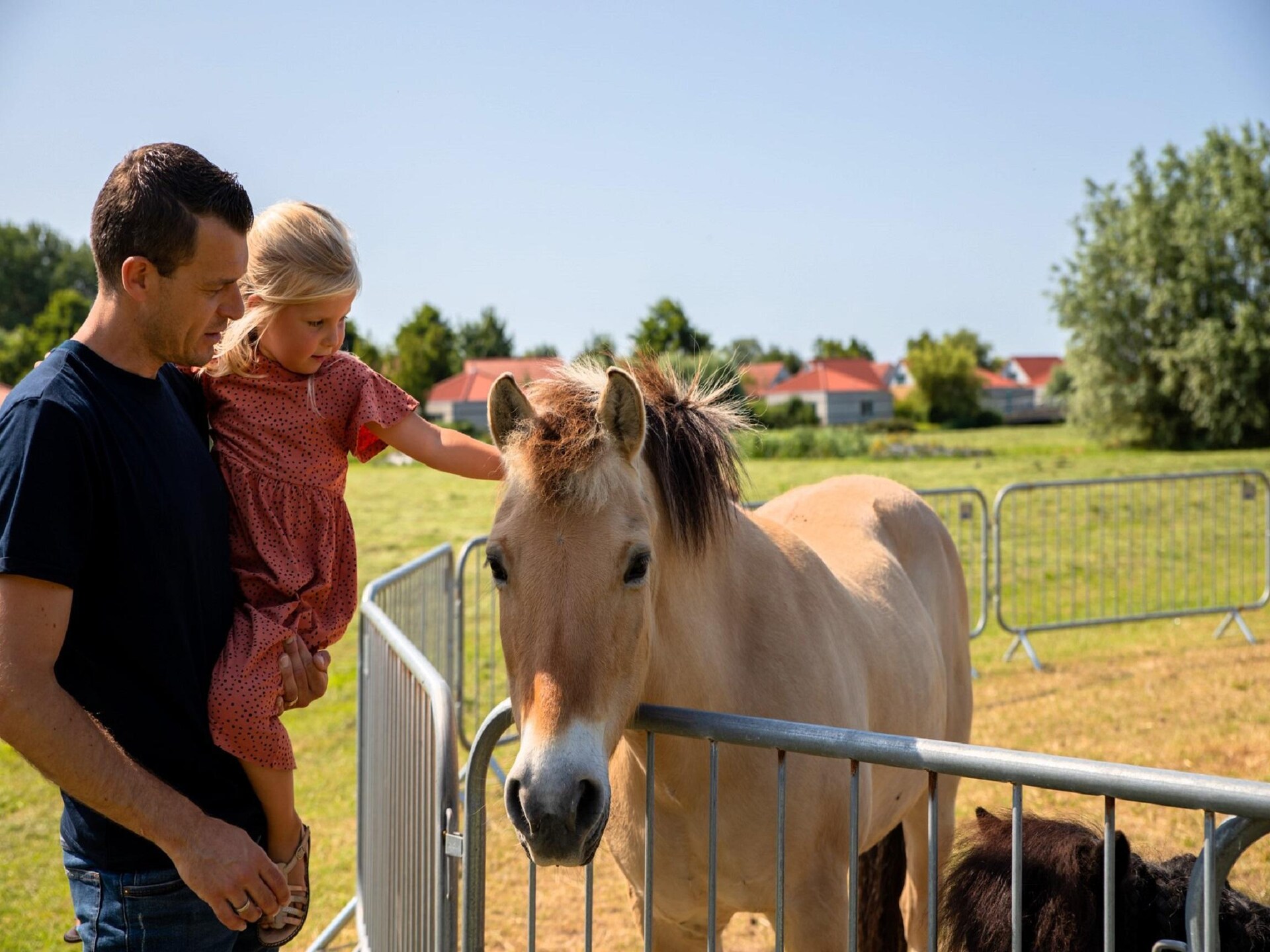 Vrijstaande vakantievilla op IJsselhof voor 7 personen, honden welkom - foto 18