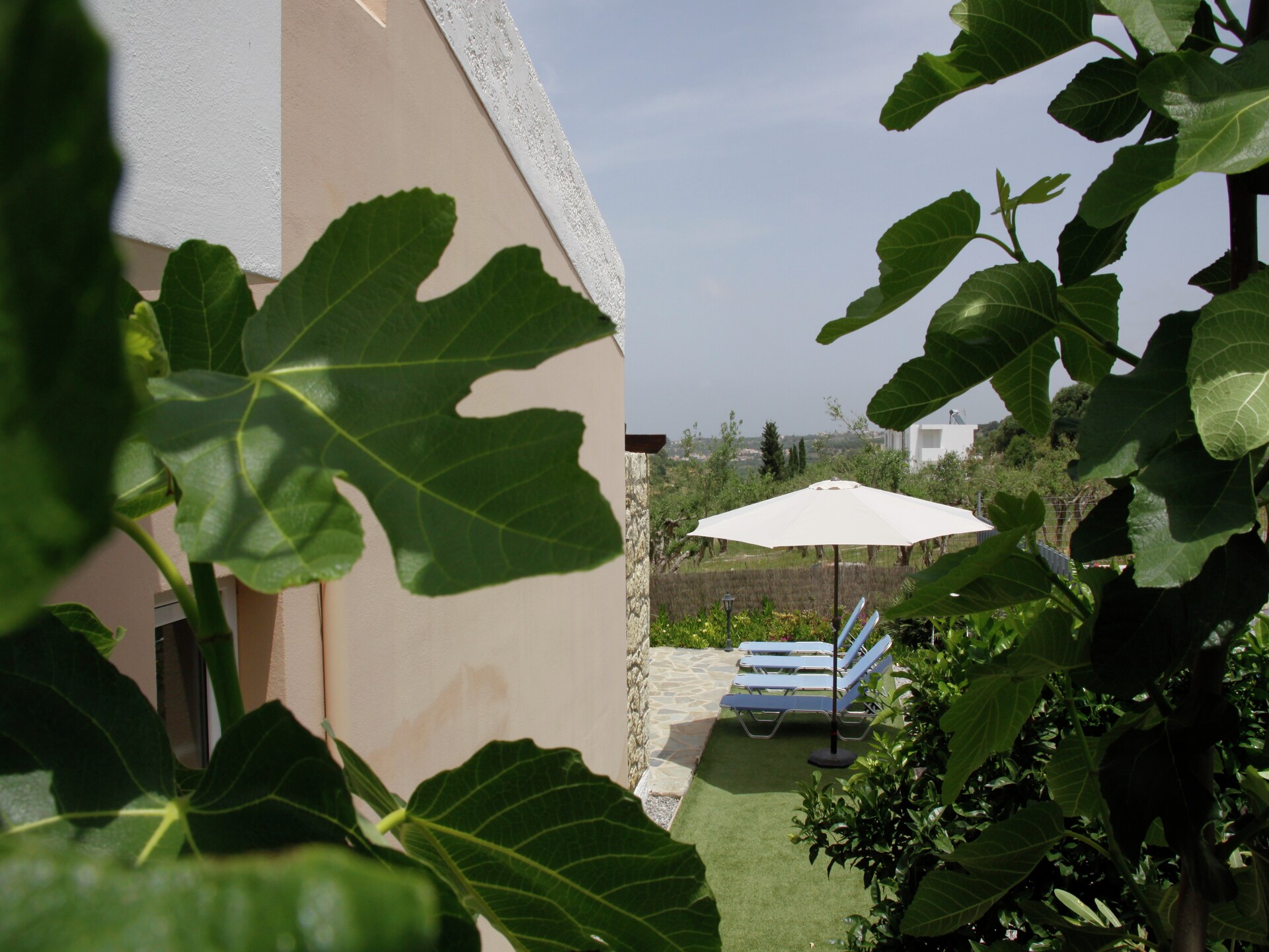 Villa Xenia: vrijstaande oase met zwembad bij Rethymnon, Kreta - foto 7