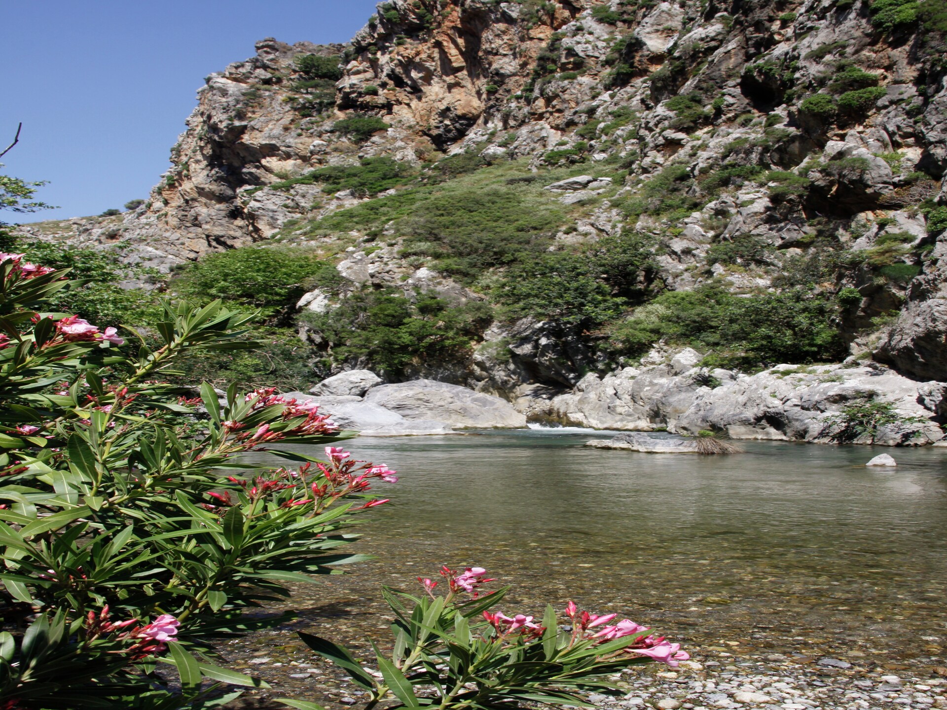 Villa Xenia: vrijstaande oase met zwembad bij Rethymnon, Kreta - foto 30