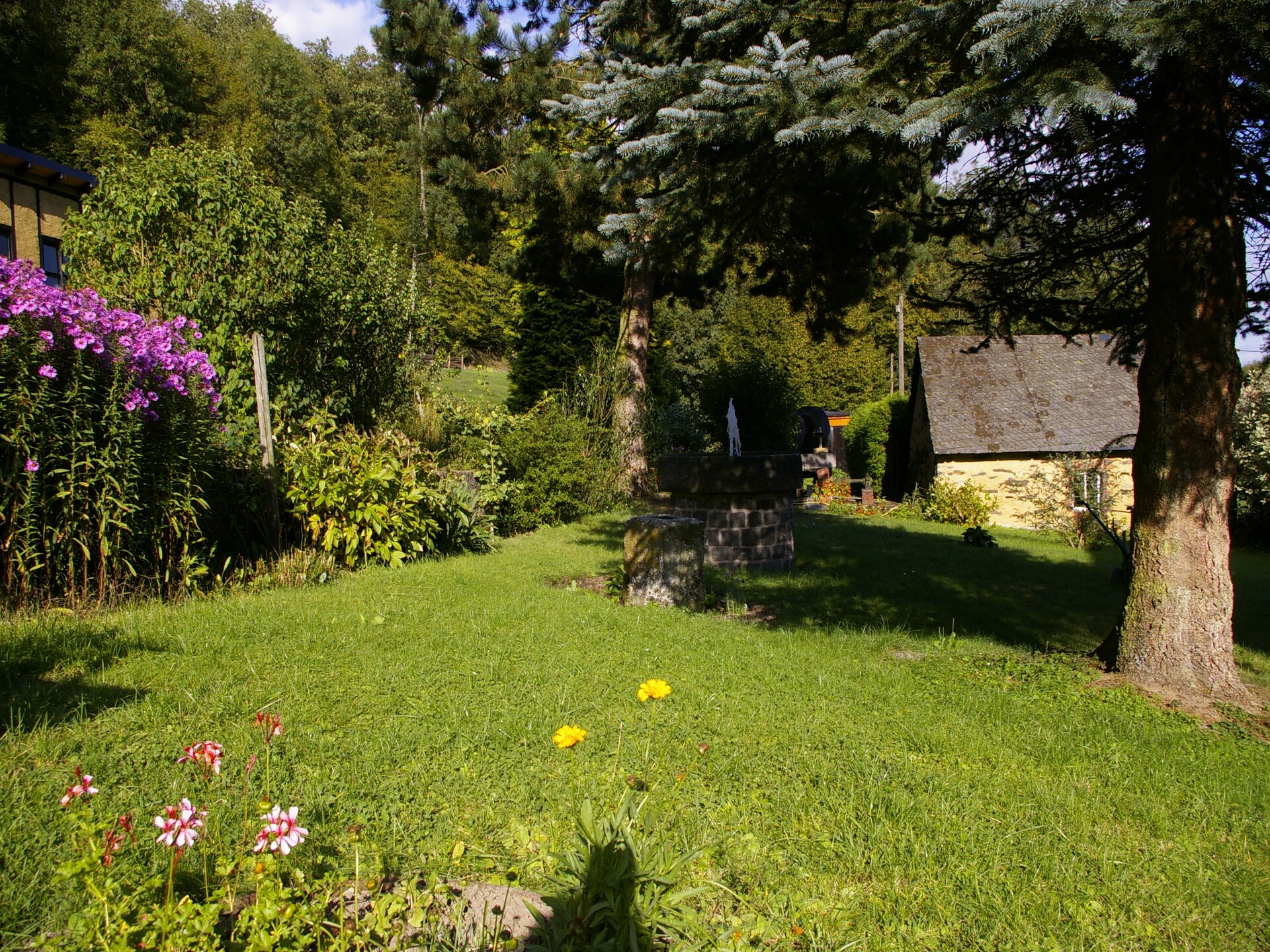 Historisch molenappartement midden in de Eifelse natuur bij Kaifenheim - foto 30