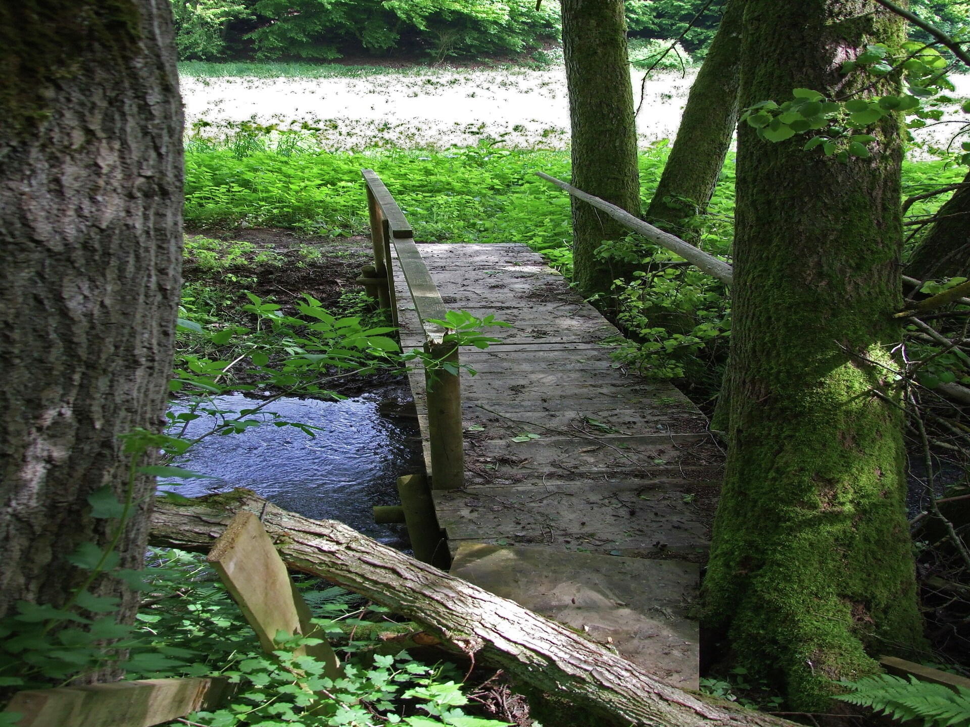 Historisch molenappartement midden in de Eifelse natuur bij Kaifenheim - foto 28