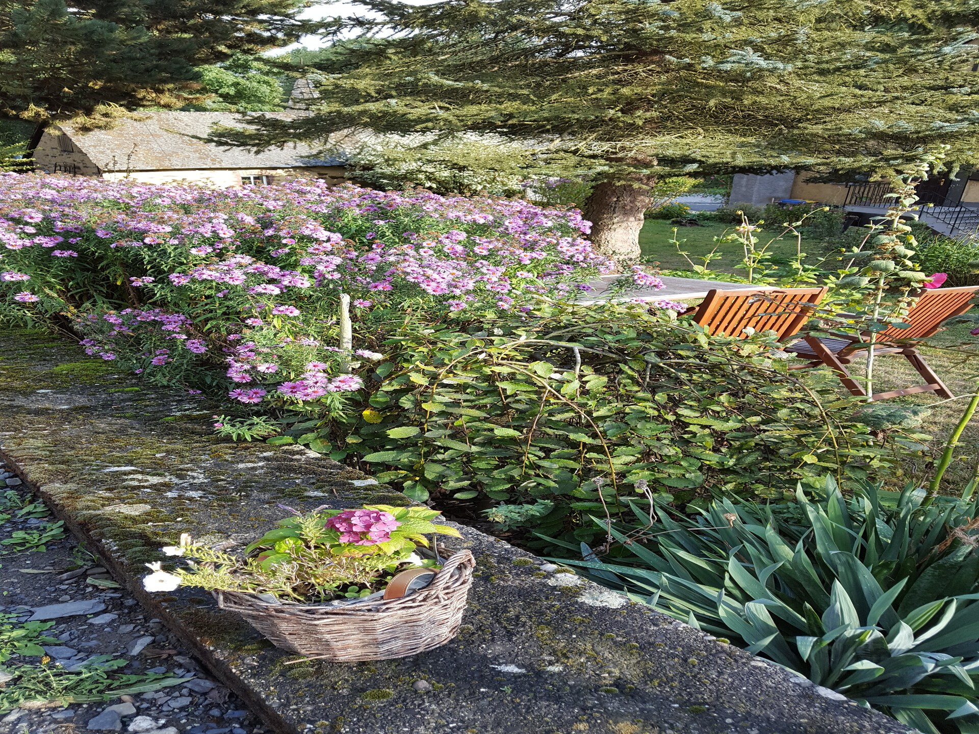 Historisch molenappartement midden in de Eifelse natuur bij Kaifenheim - foto 25