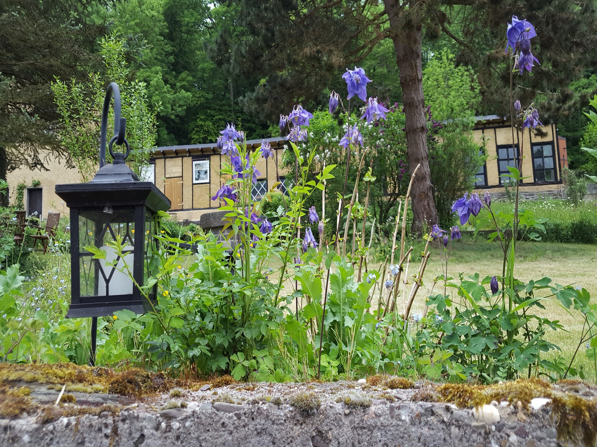 Historisch molenappartement midden in de Eifelse natuur bij Kaifenheim - foto 26