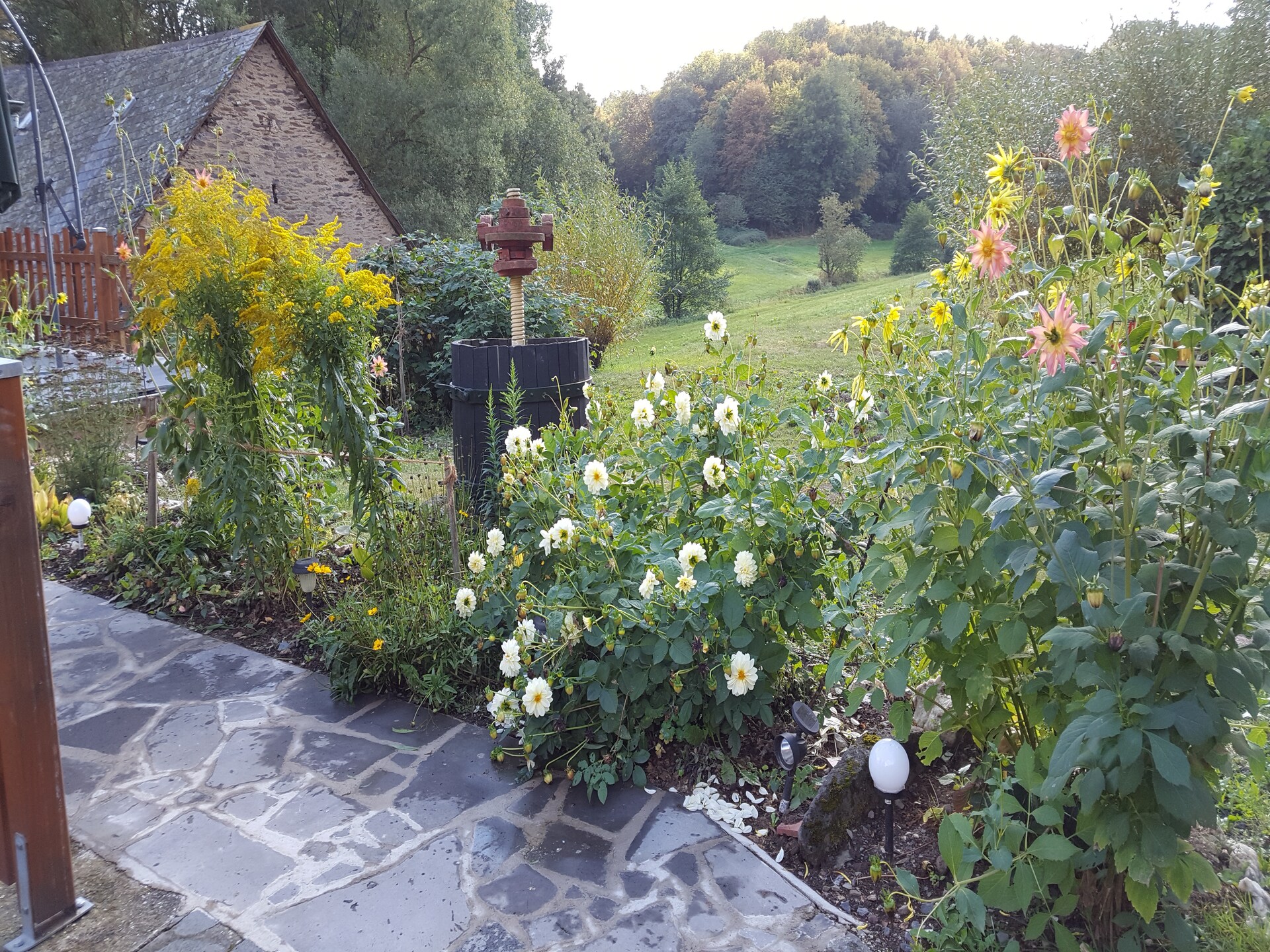 Historisch molenappartement midden in de Eifelse natuur bij Kaifenheim - foto 24