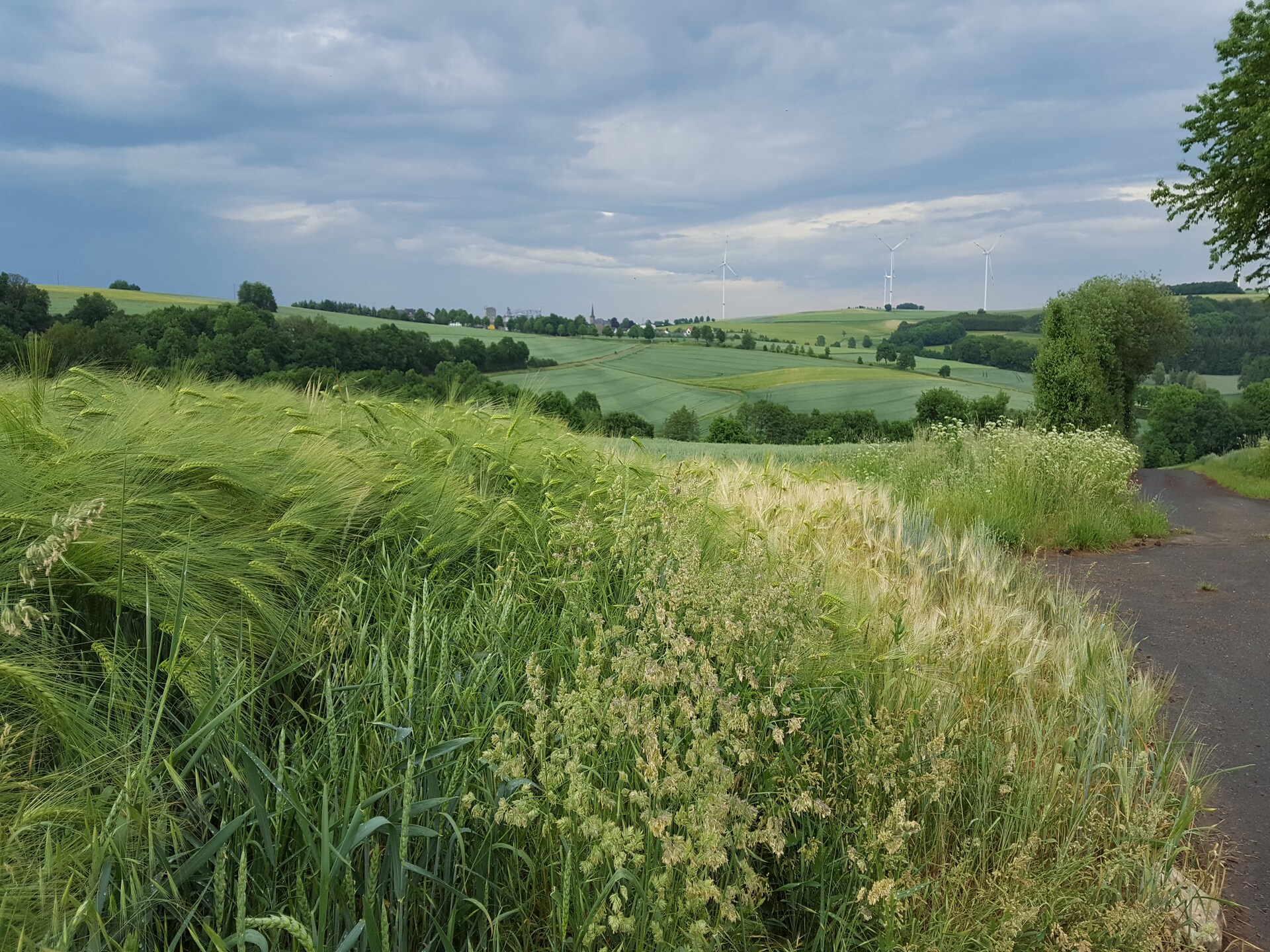 Historisch molenappartement midden in de Eifelse natuur bij Kaifenheim - foto 27