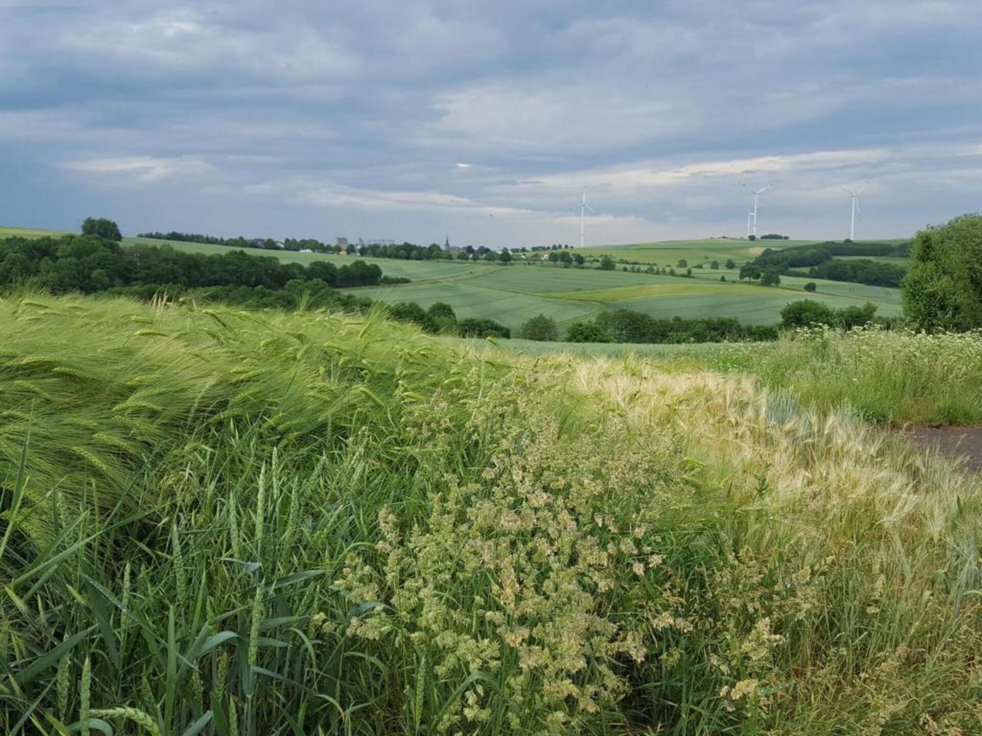 Historisch molenappartement midden in de Eifelse natuur bij Kaifenheim - foto 37