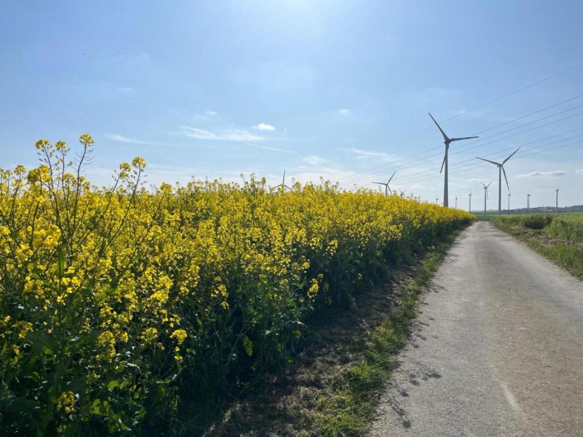 Historisch molenappartement midden in de Eifelse natuur bij Kaifenheim - foto 35
