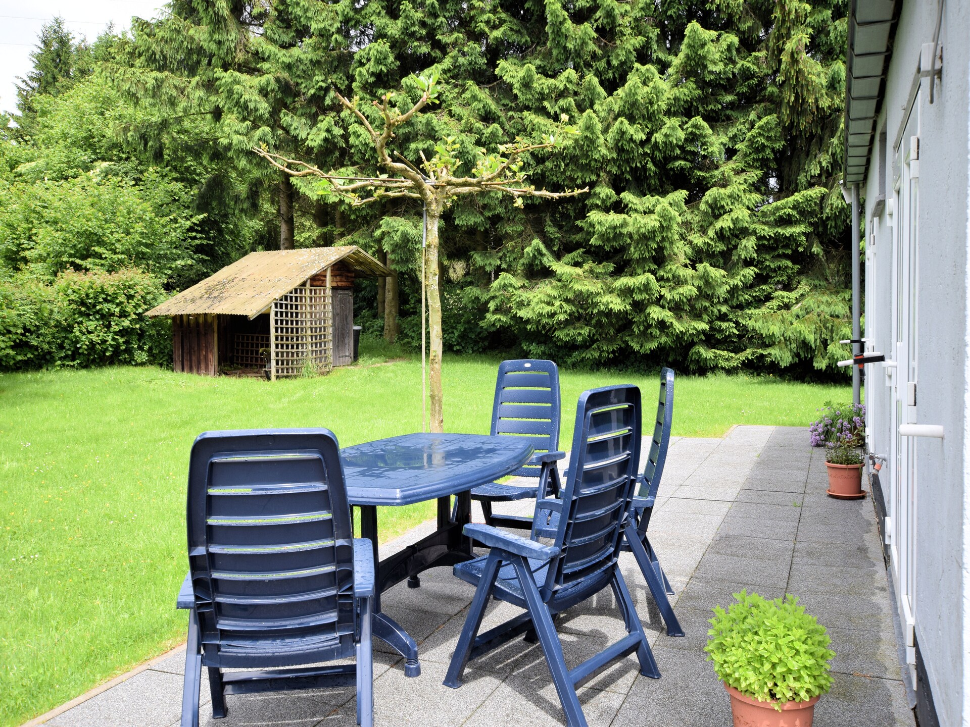 4-persoons vakantiehuis met sauna in Gouvy - foto 25