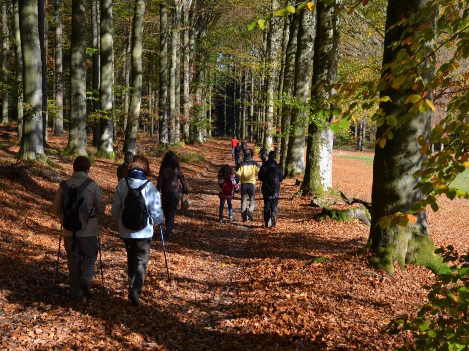 4-persoons vakantiehuis met sauna in Gouvy - foto 31