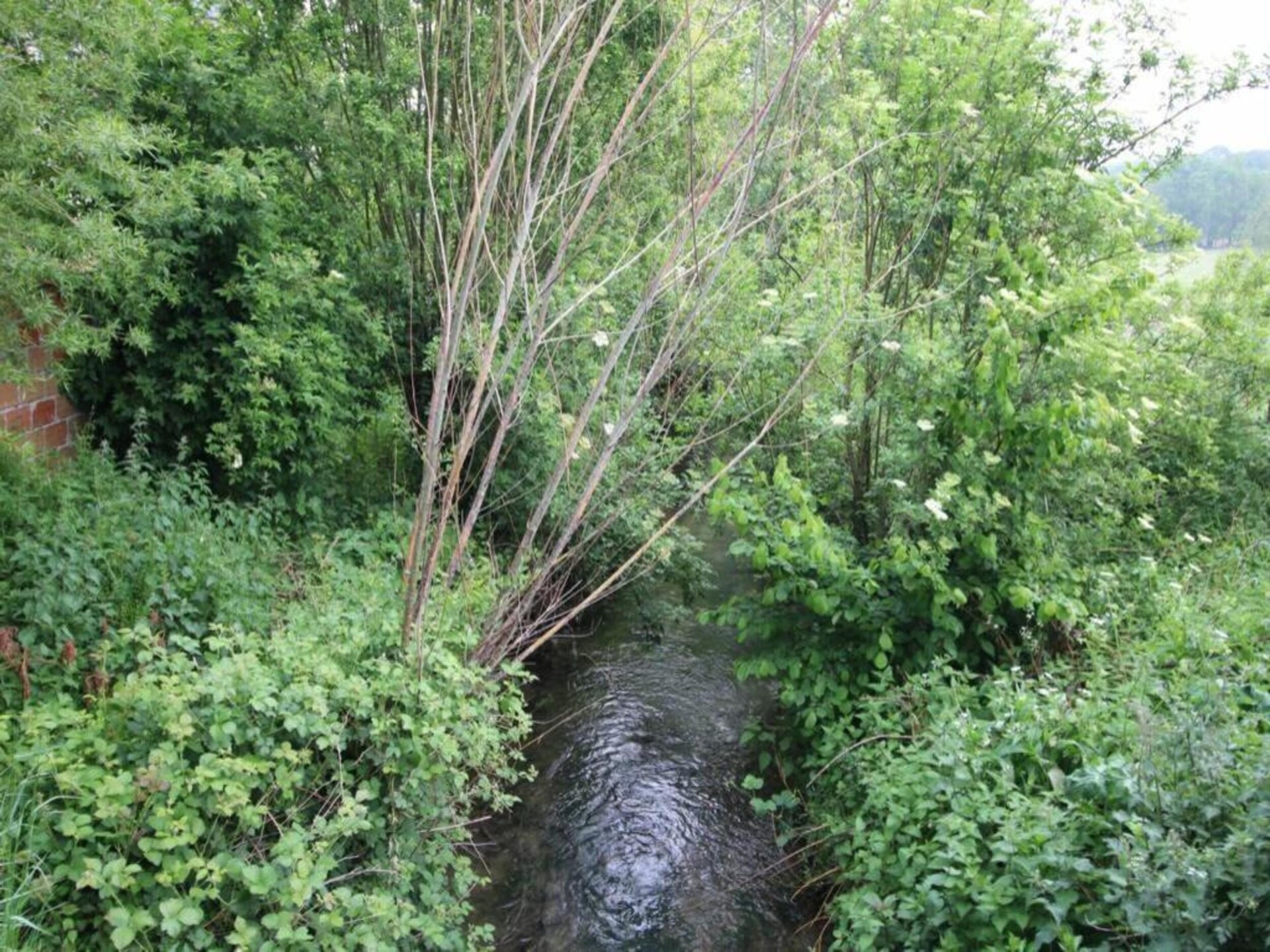 Landhuis Gite Domaine Saint Julien in rustig Normandië, 2 km van zee - foto 29