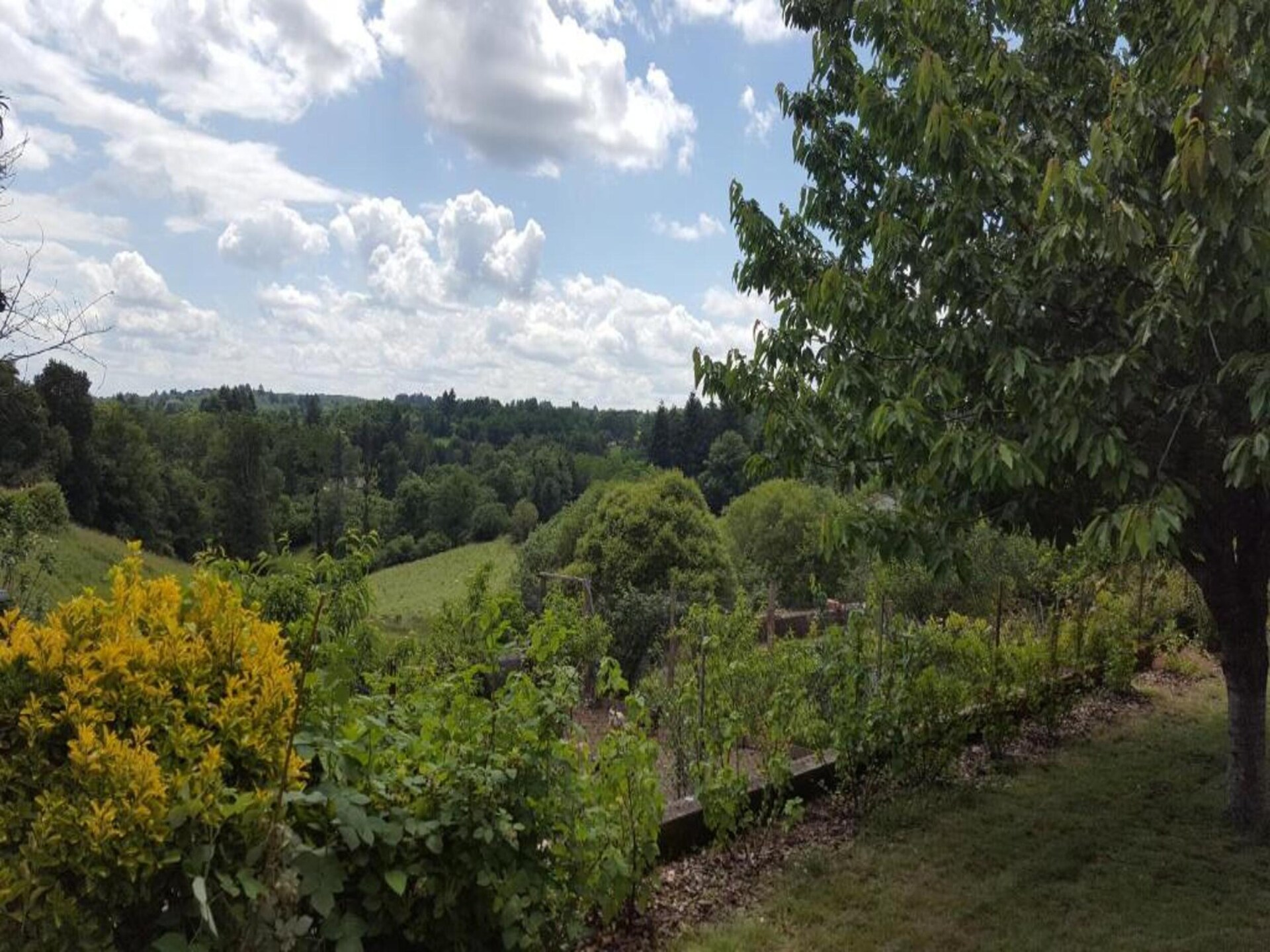 Domaine de Bellac: 6 gîtes voor 32 personen met zwembad bij Roussines - foto 40