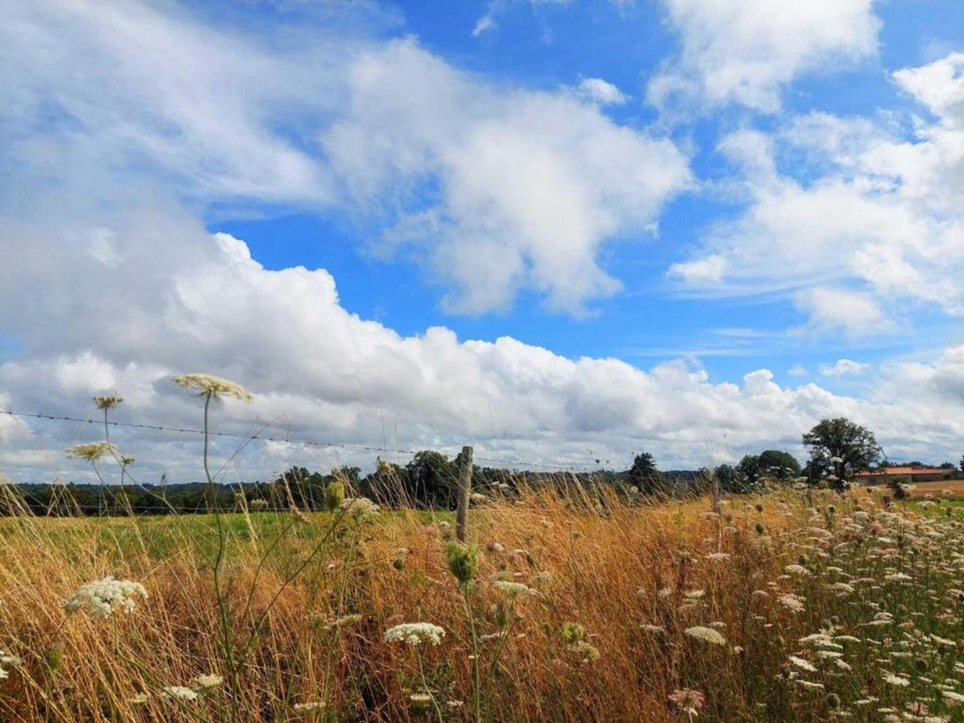 Domaine de Bellac: 6 gîtes voor 32 personen met zwembad bij Roussines - foto 35