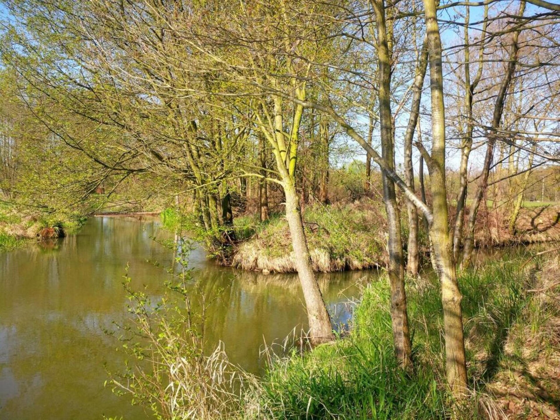 Waldblick: vrijstaand huis aan de bosrand in Schmogrow-Fehrow - foto 37