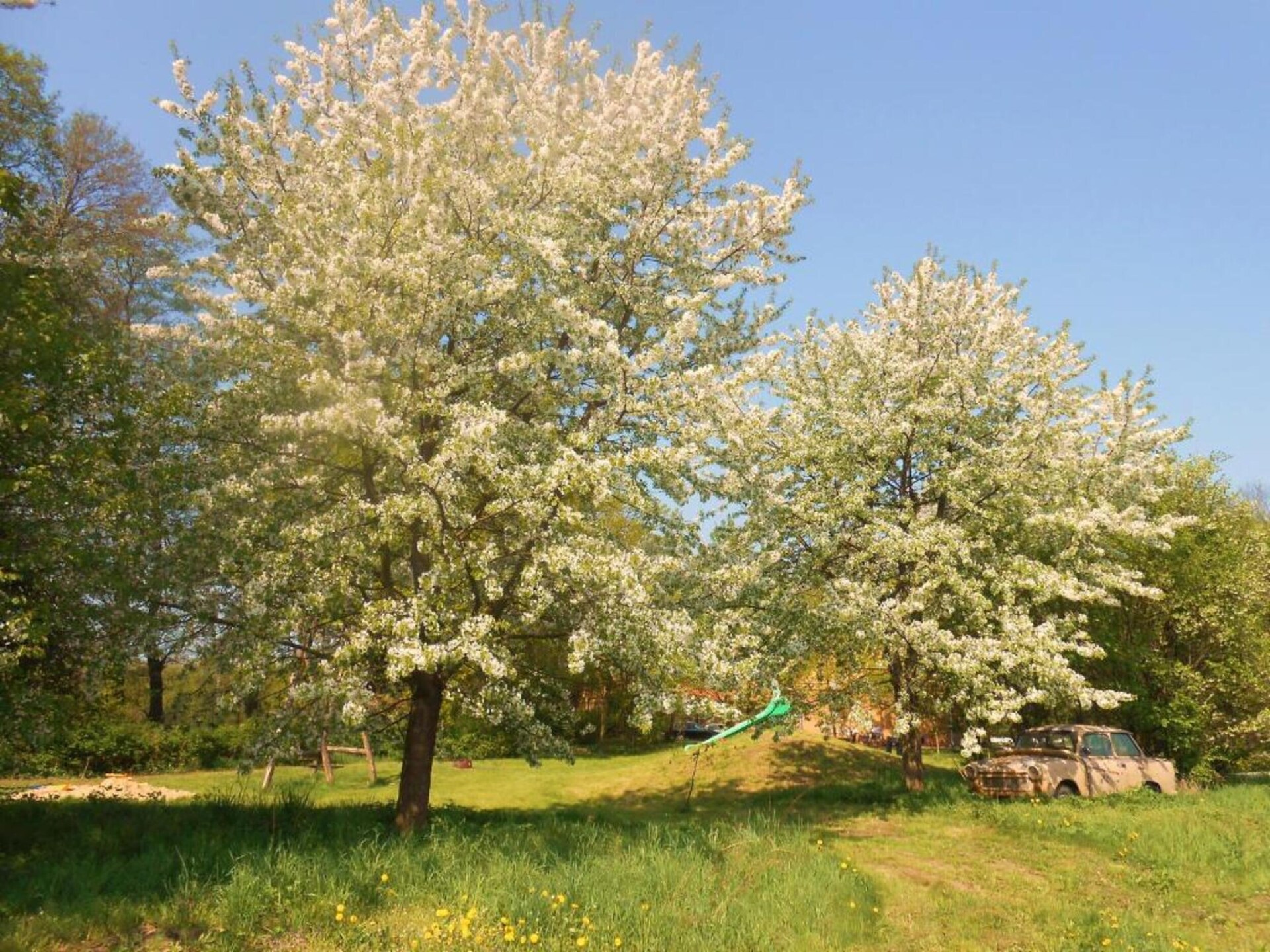 Waldblick: vrijstaand huis aan de bosrand in Schmogrow-Fehrow - foto 38